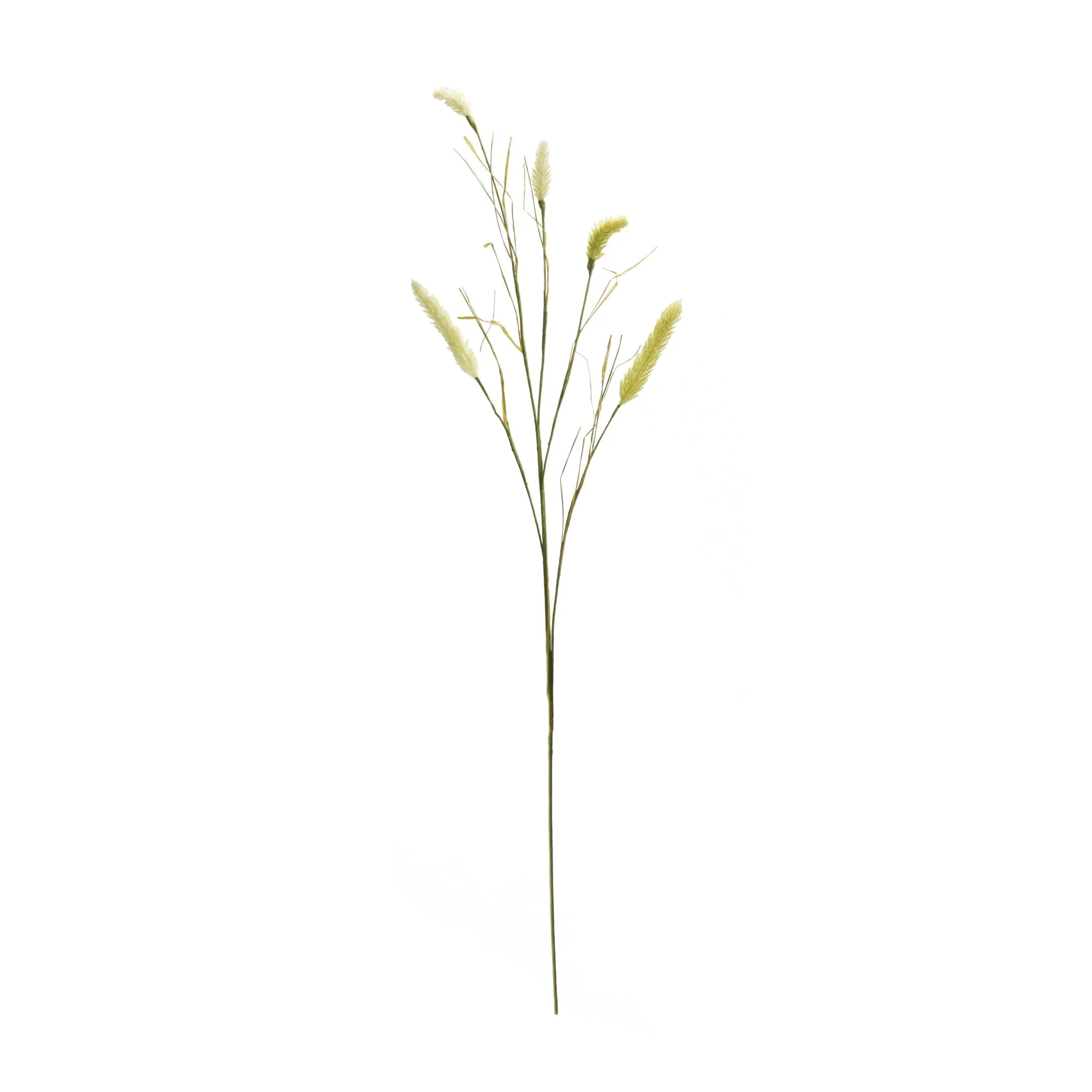 Foxtail Spray (Set of 6) - Image 2
