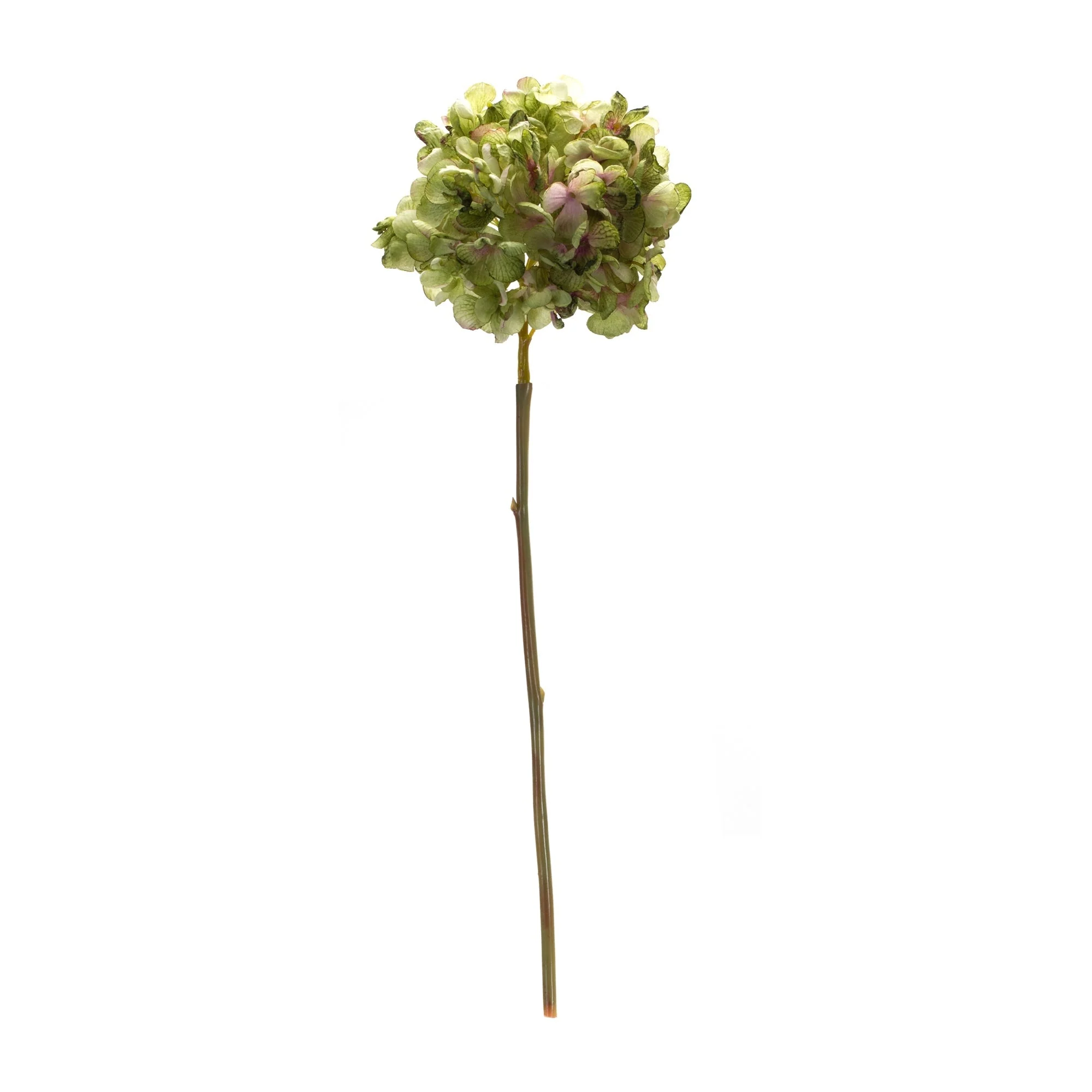Green hydrangea flower stem (set of 6) - Image 3
