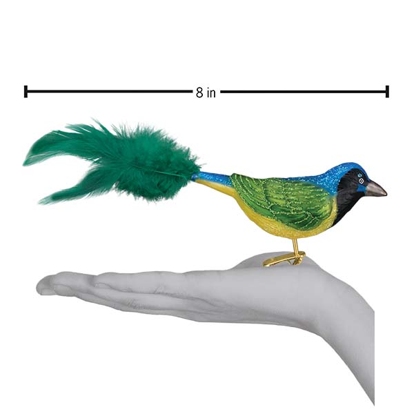Green Jay Ornament by Old World Christmas - Image 6
