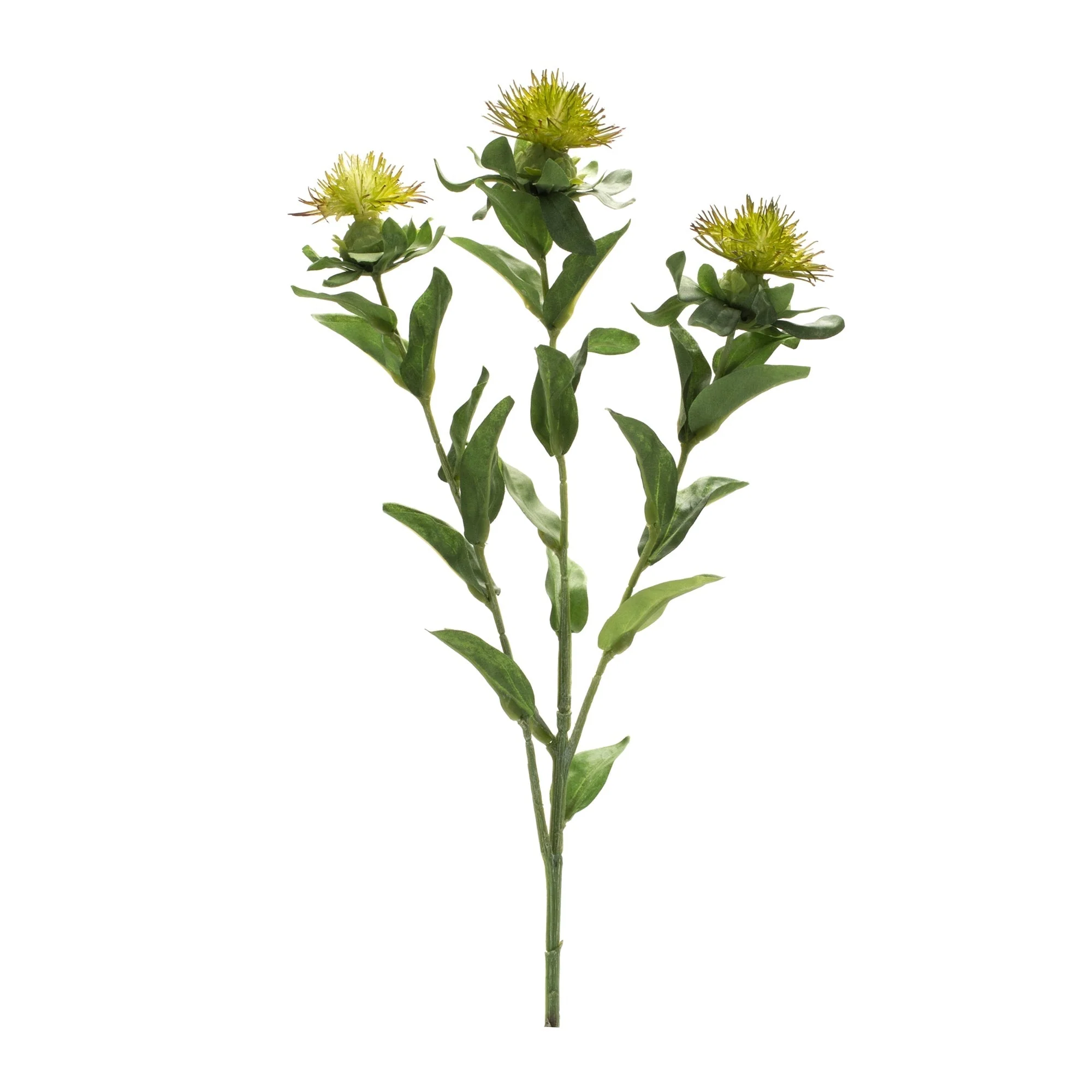 Green Thistle Floral Spray (Set of 6) - Image 2