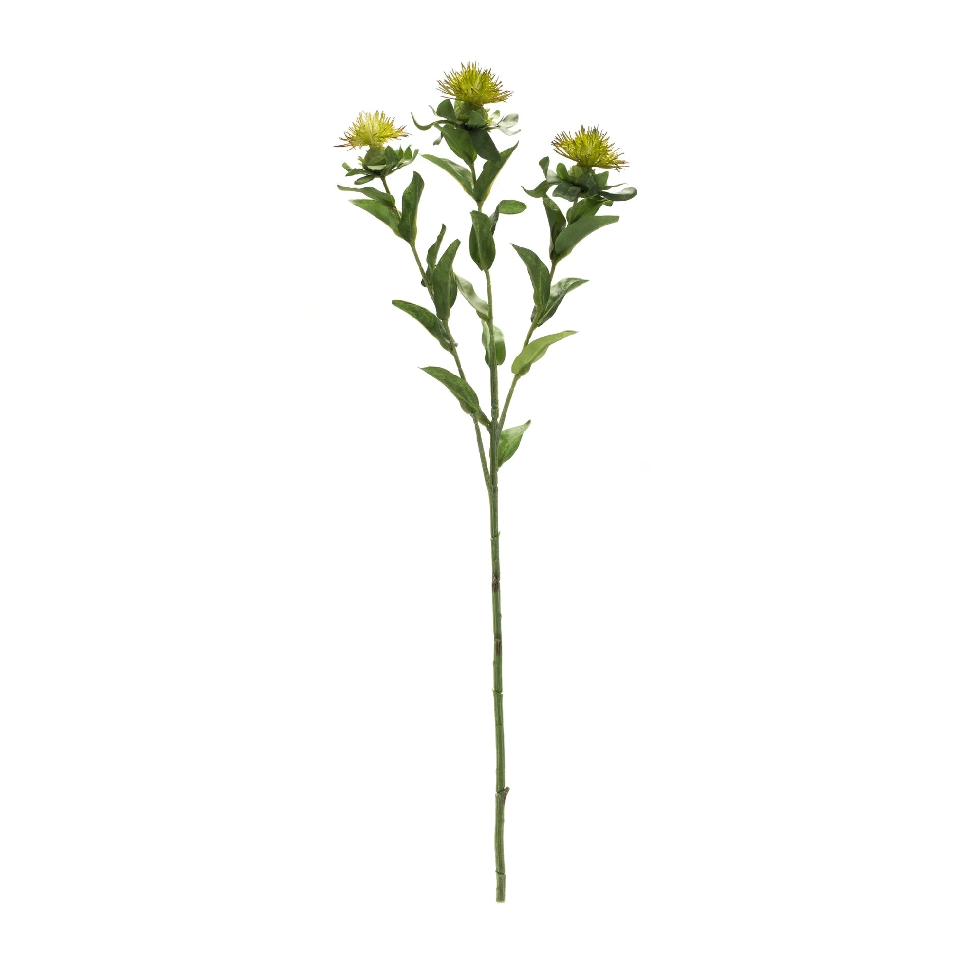 Green Thistle Floral Spray (Set of 6) - Image 3