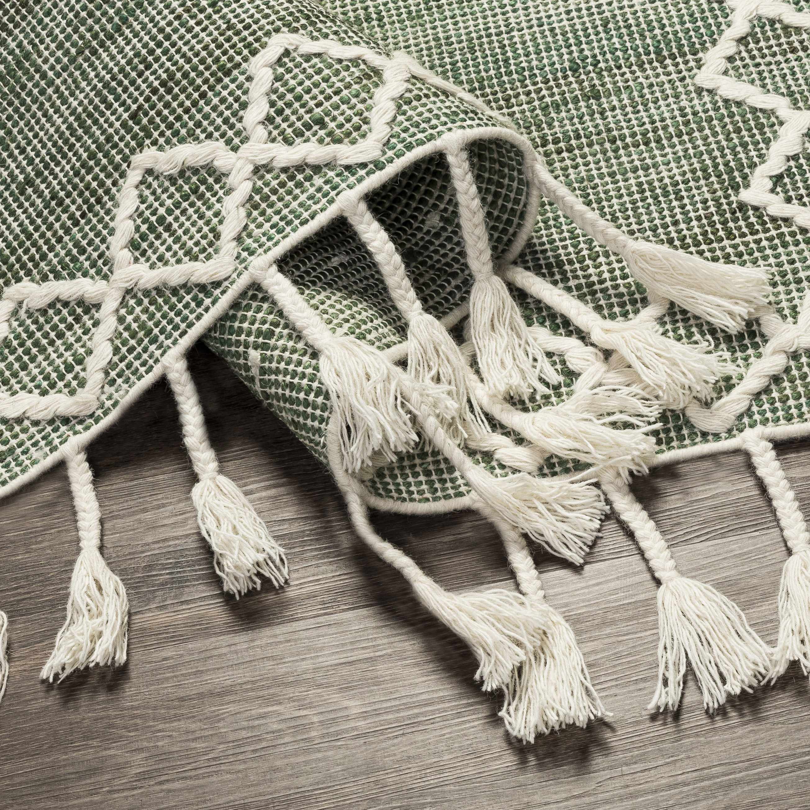 Guiuan Tasseled Jute&Wool Rug - Clearance - Image 8