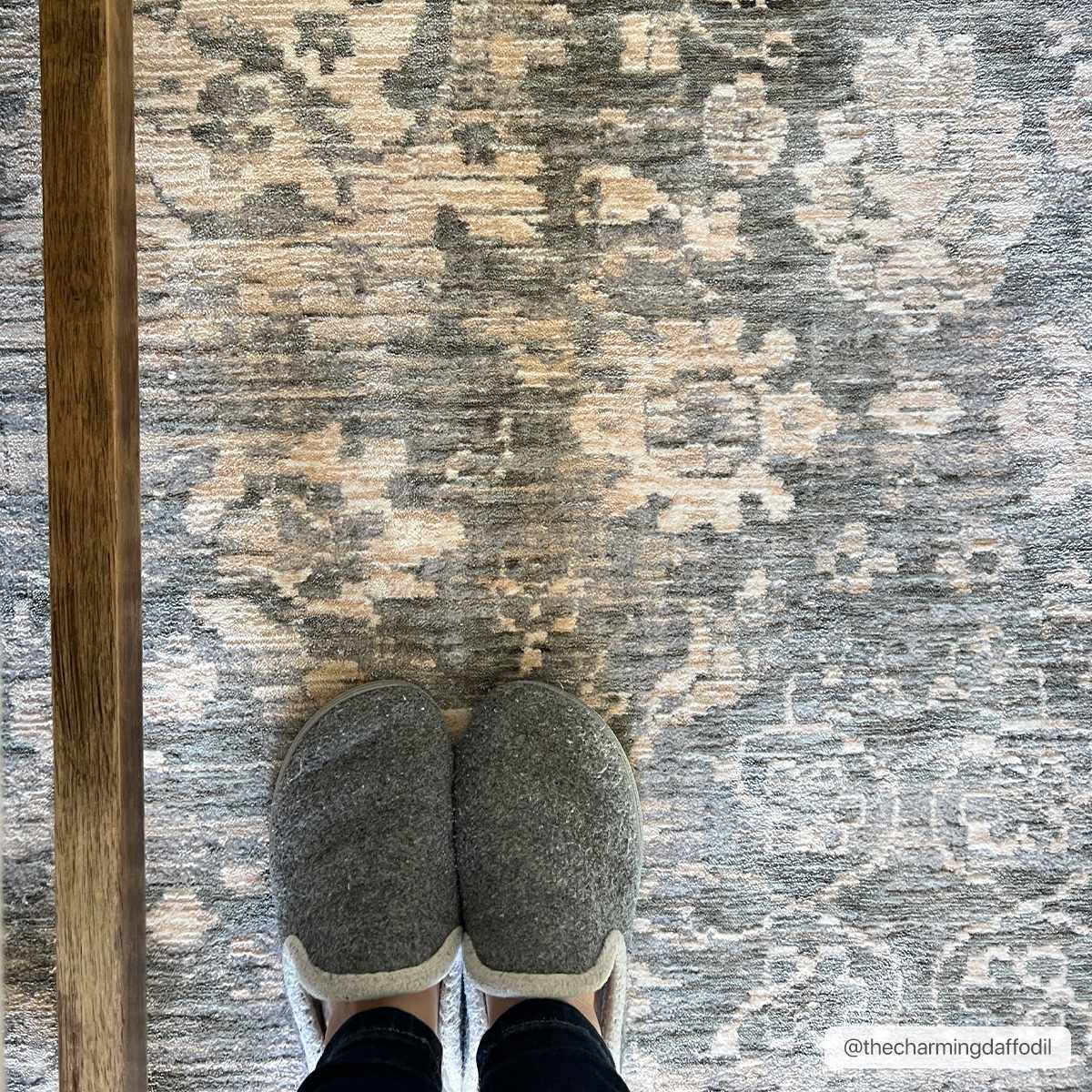 Guiwanon Area Rug - Clearance - Image 3