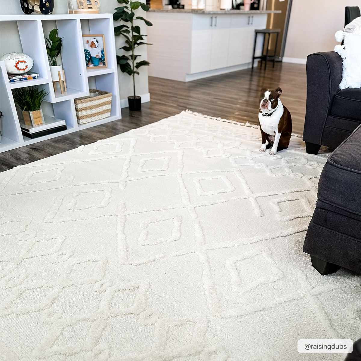 Gyundyukoru Area Rug - Image 13