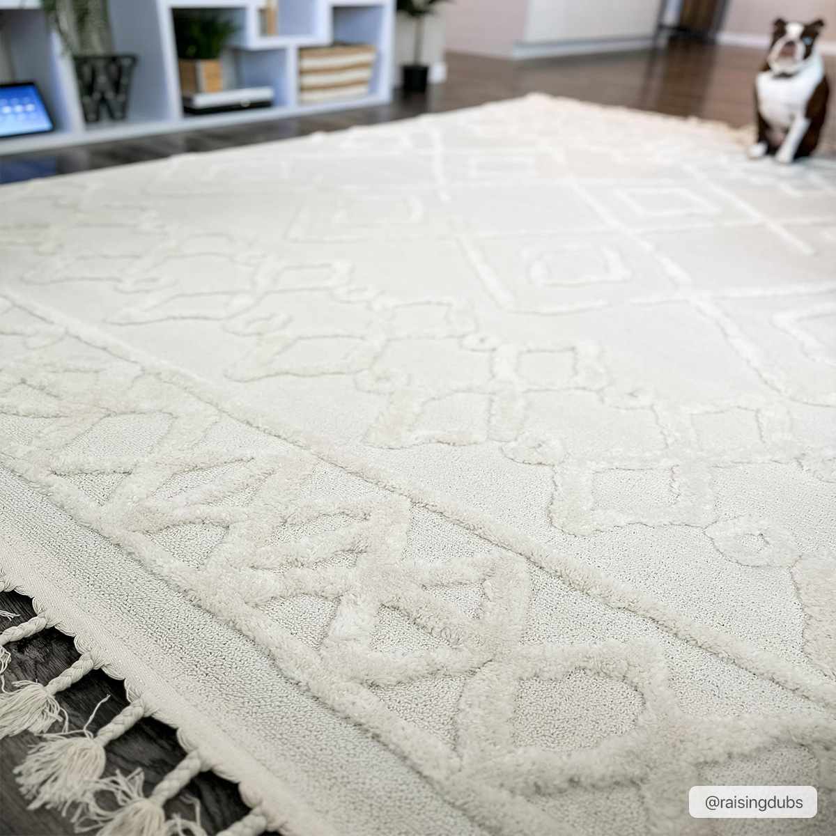 Gyundyukoru Area Rug - Image 14
