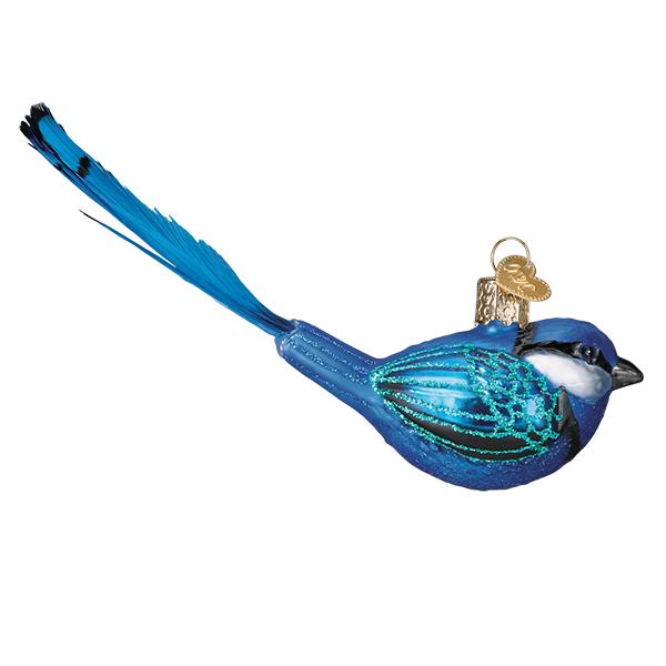 Hanging Fairy Wren - Image 4