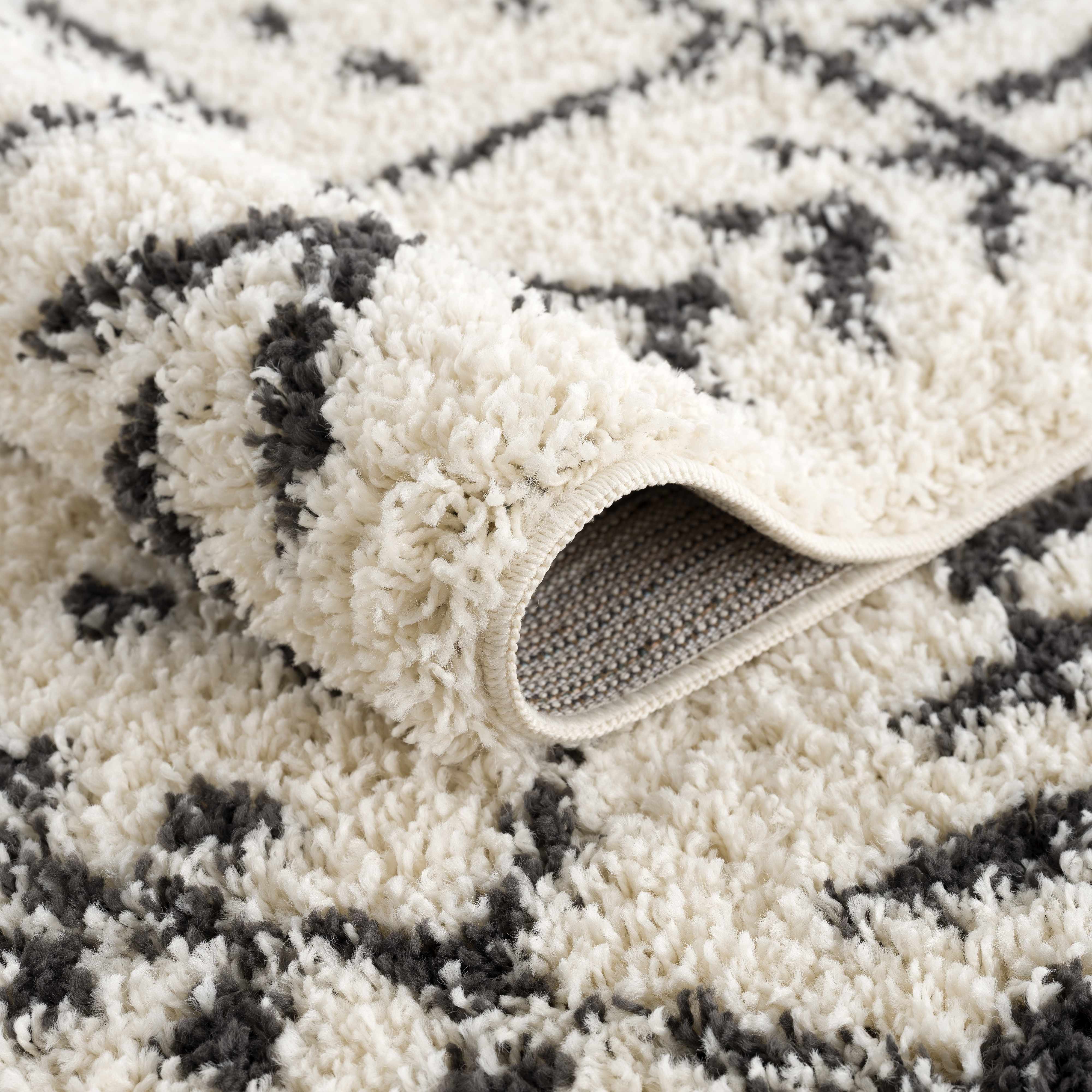 Hauppauge Berber Shag Carpet - Image 15