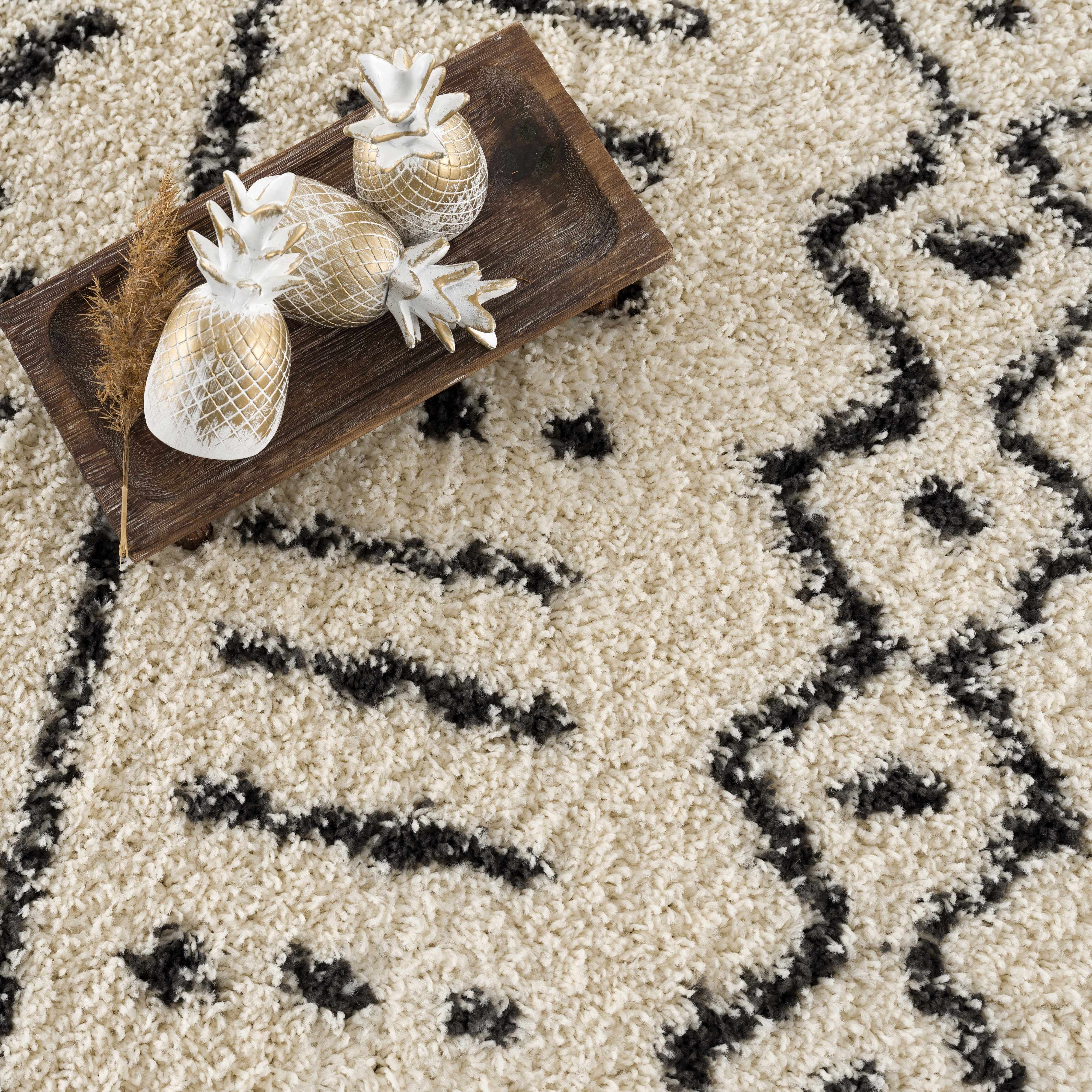 Hauppauge Berber Shag Carpet - Image 16