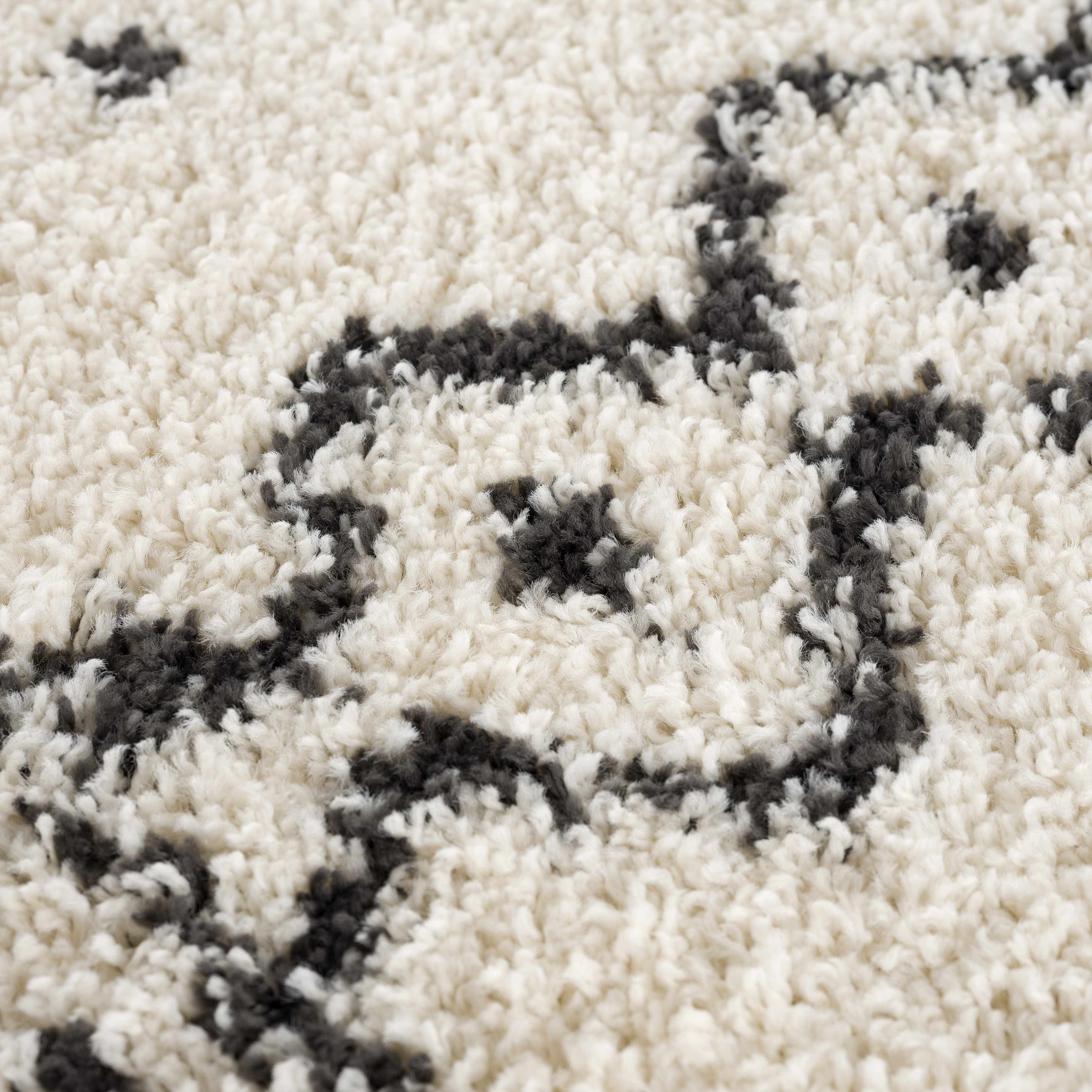 Hauppauge Berber Shag Carpet - Image 17