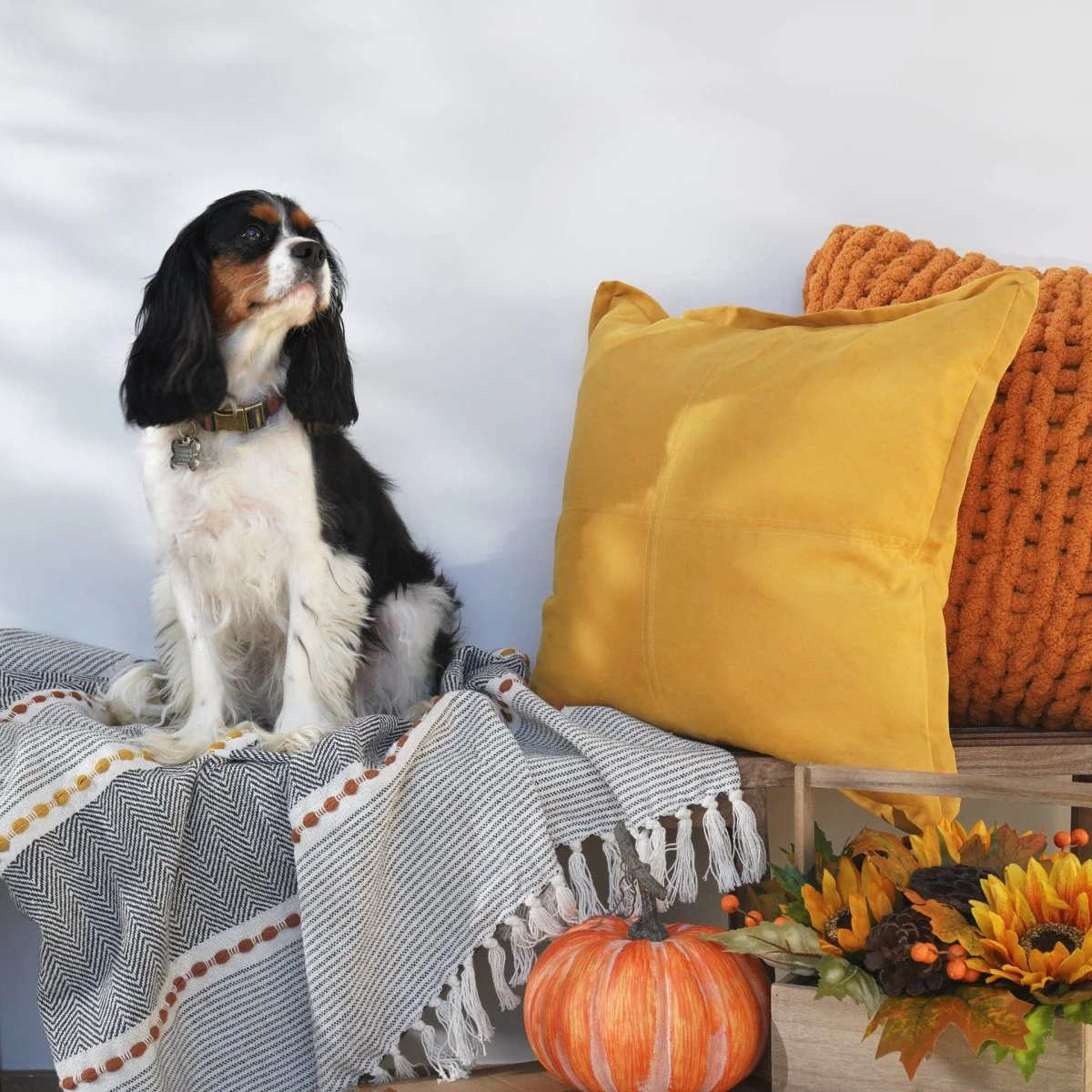Herringbone Stripe Yarn Dyed Cotton Woven Tassel Throw - Image 21
