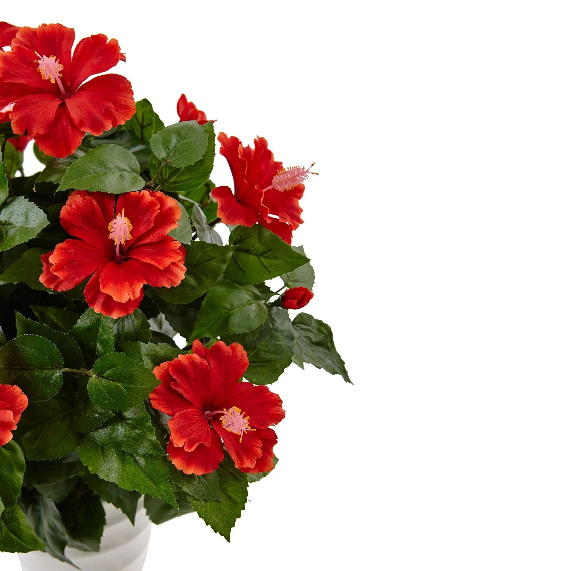Hibiscus in Swirl Planter - Image 3