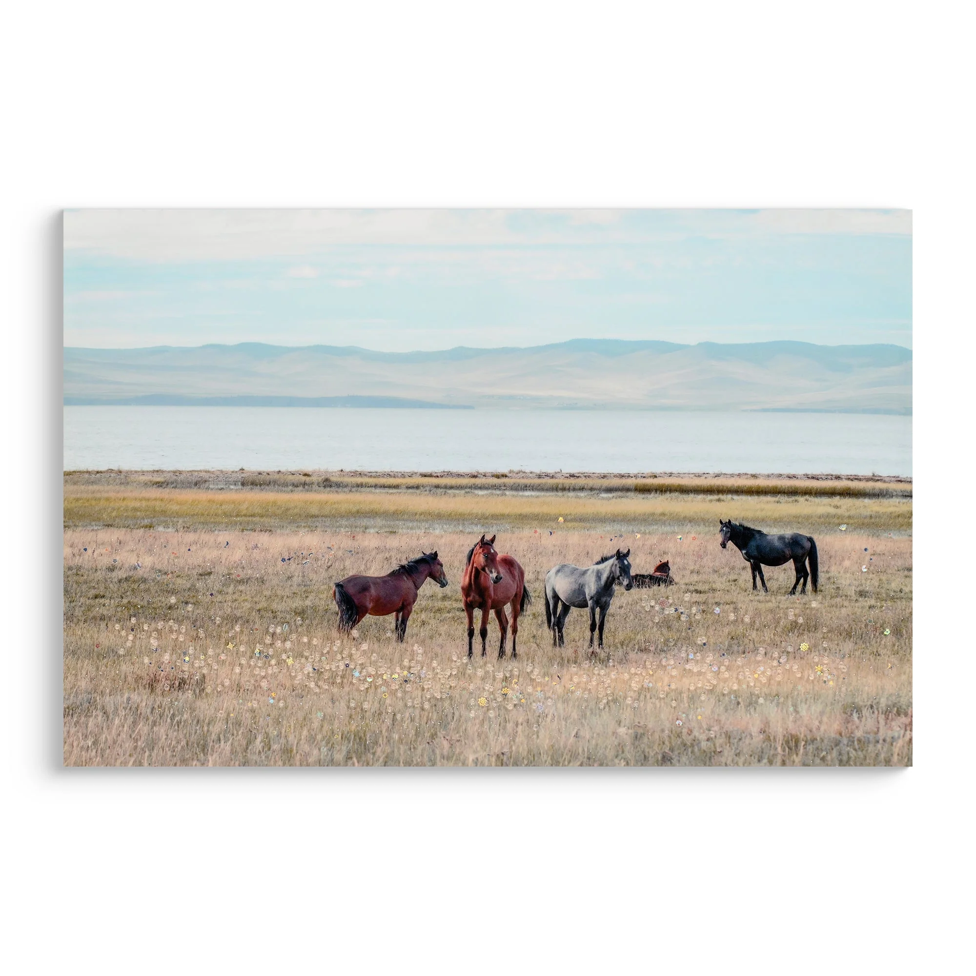 Horse Framed Wall Art Decor: Country Western Farmhouse Wood Painting