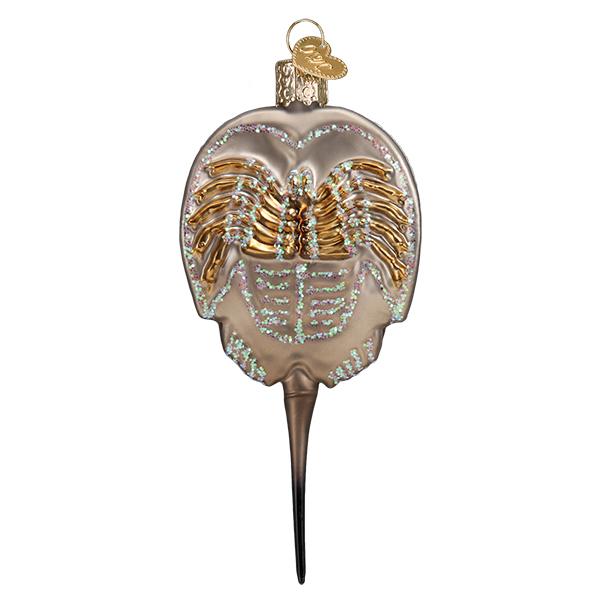 Horseshoe Crab Ornament 1x2x4.75 Inch - Image 3