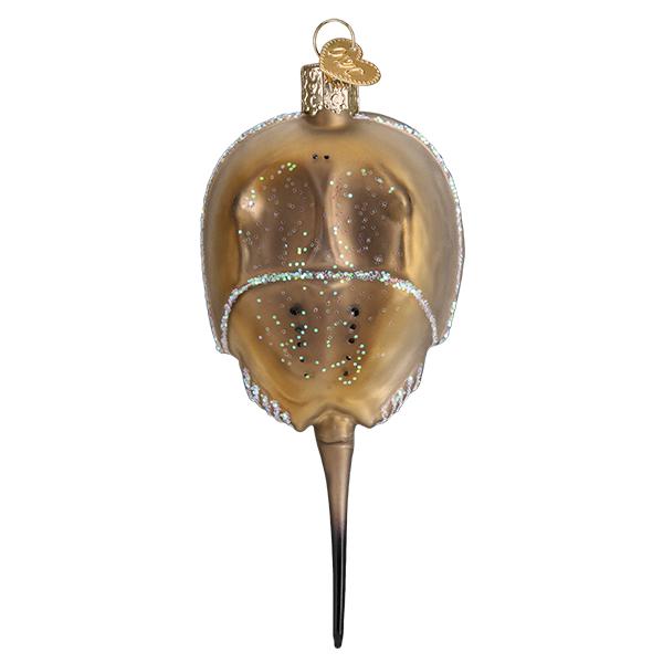 Horseshoe Crab Ornament 1x2x4.75 Inch - Image 5