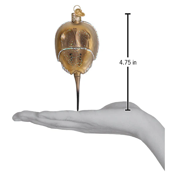 Horseshoe Crab Ornament 1x2x4.75 Inch - Image 6