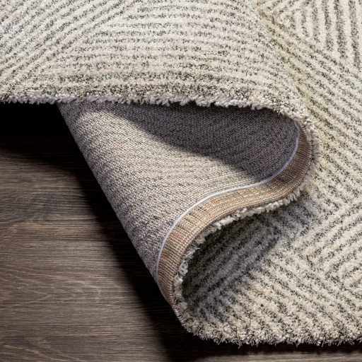 Horsley Area Rug - Image 15