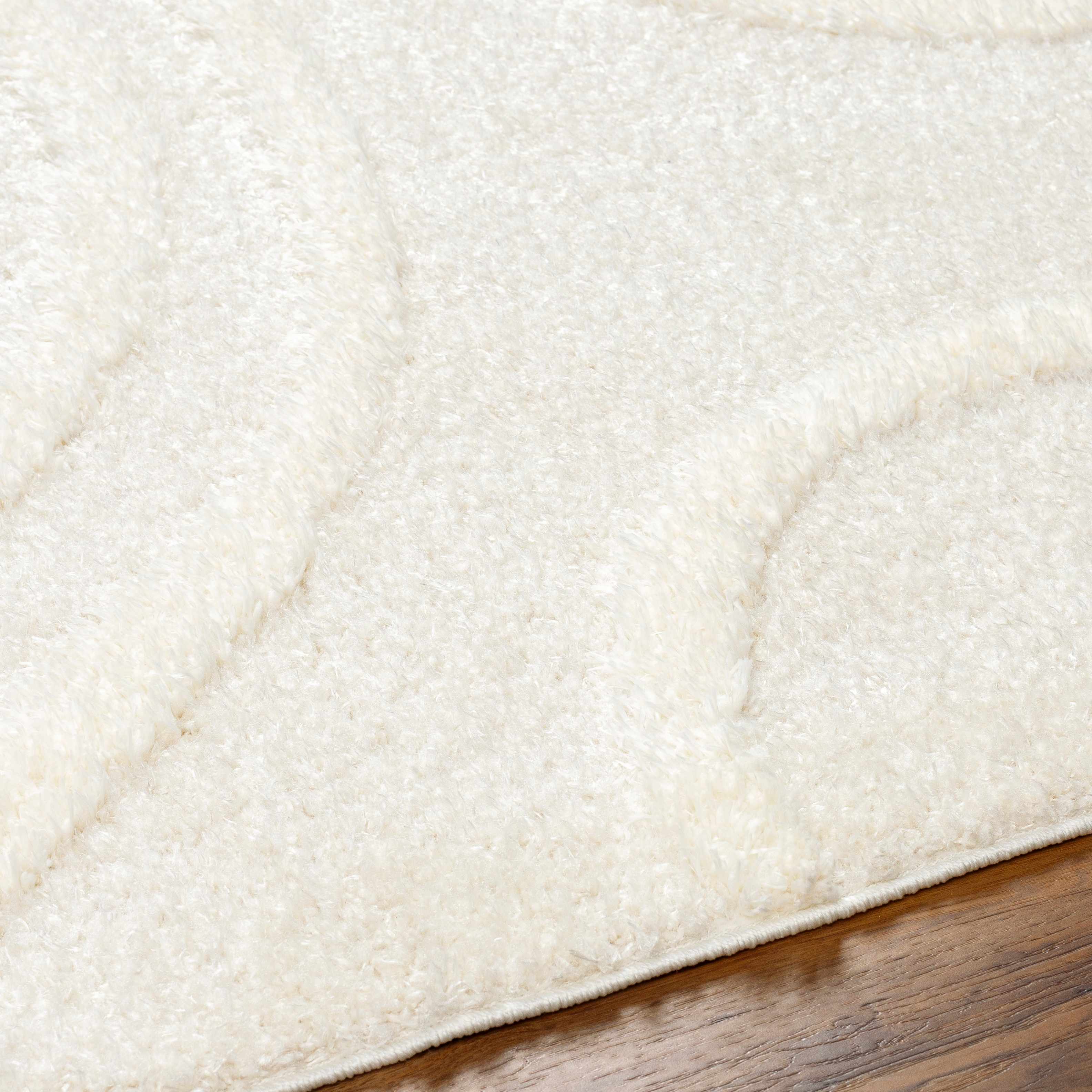 Horst Off White Area Rug - Image 6