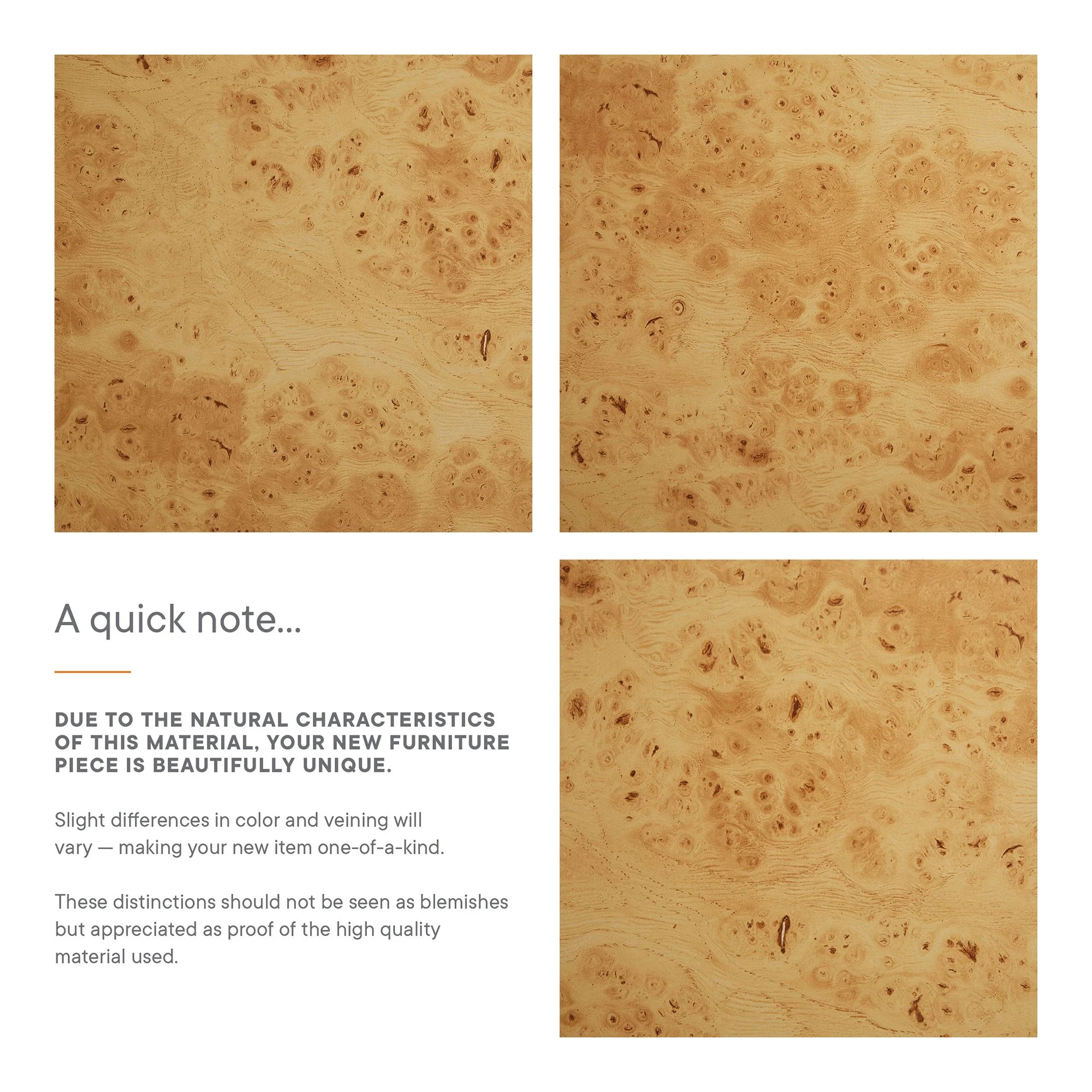 Hudson 2-Drawer Burl Wood Desk by Modway - Image 4