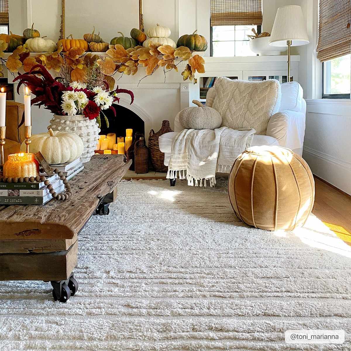 Ibarra Textured Ivory High/Low Pile Rug with Tassels - Image 2