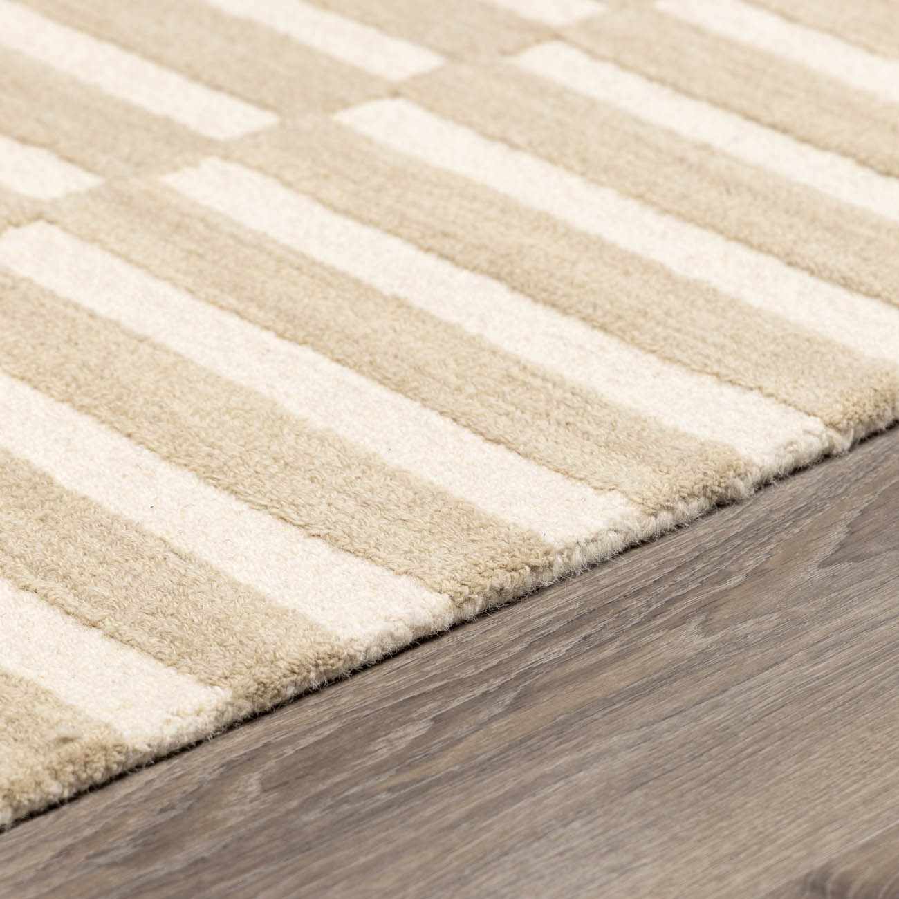 Idaho Broken-Striped Beige Area Rug - Image 8