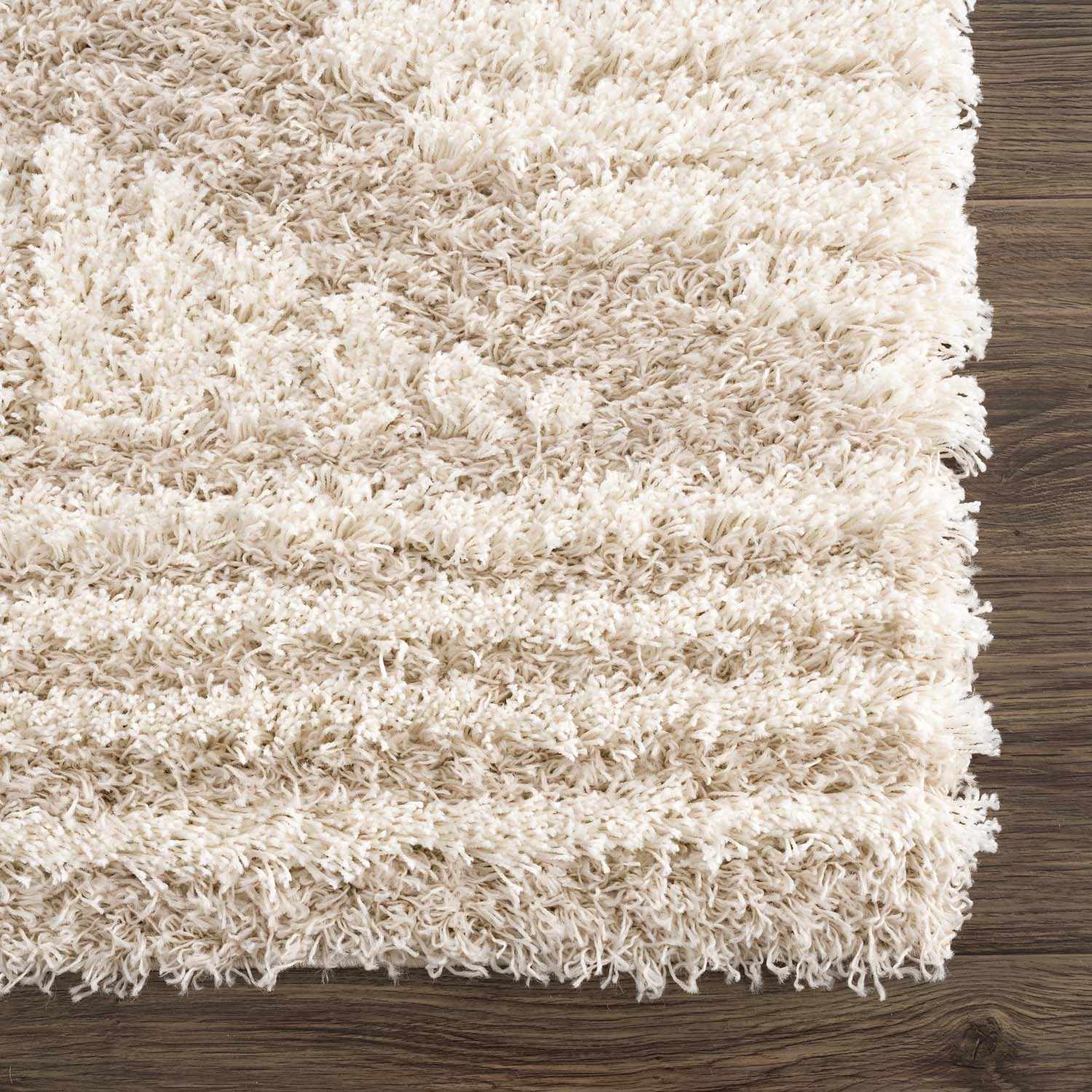 Igor Shag Area Rug - Image 8