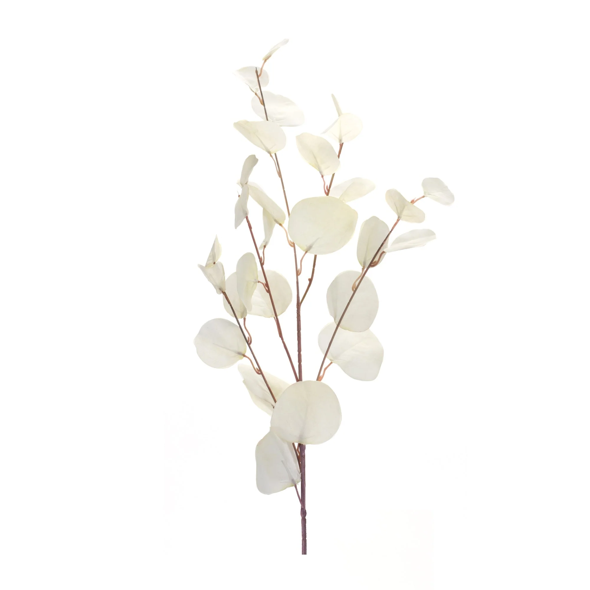 Ivory Silver Dollar Eucalyptus Leaf Spray (Set of 6) - Image 2