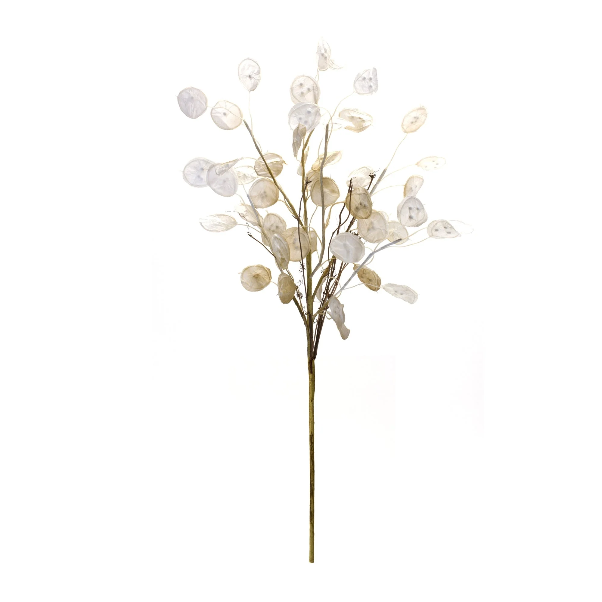Ivory Silver Dollar Eucalyptus Spray (Set of 6) - Image 2