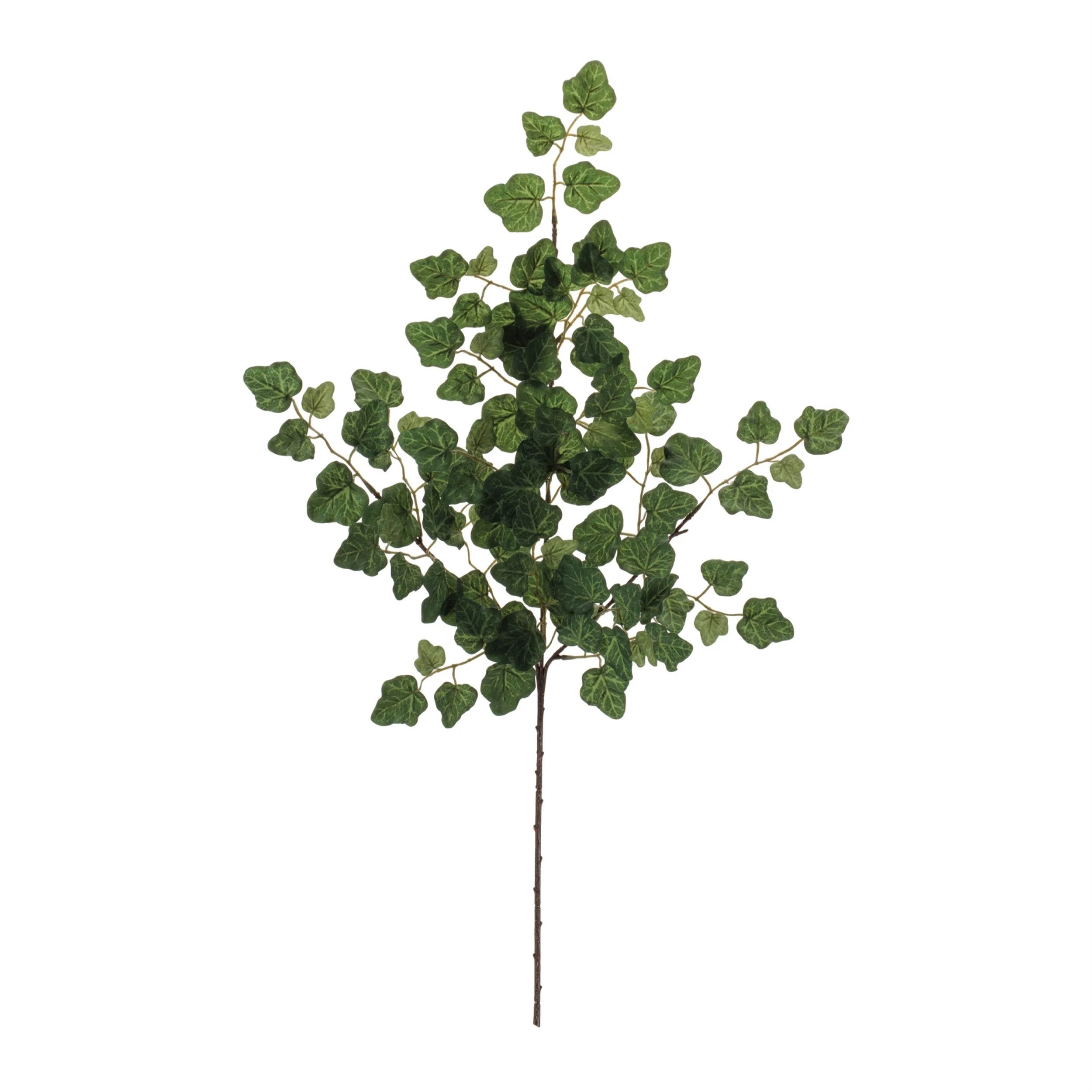 Ivy Foliage Spray (Set of 6) - Image 2