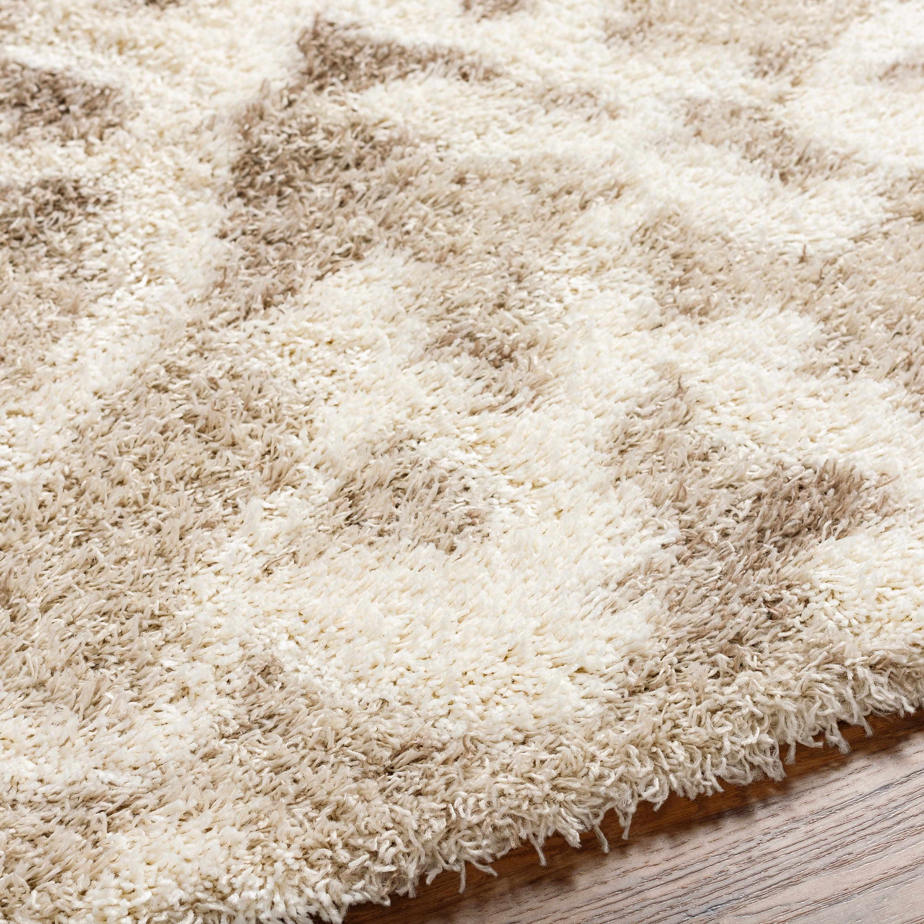 Jase Shag Area Rug - Image 4
