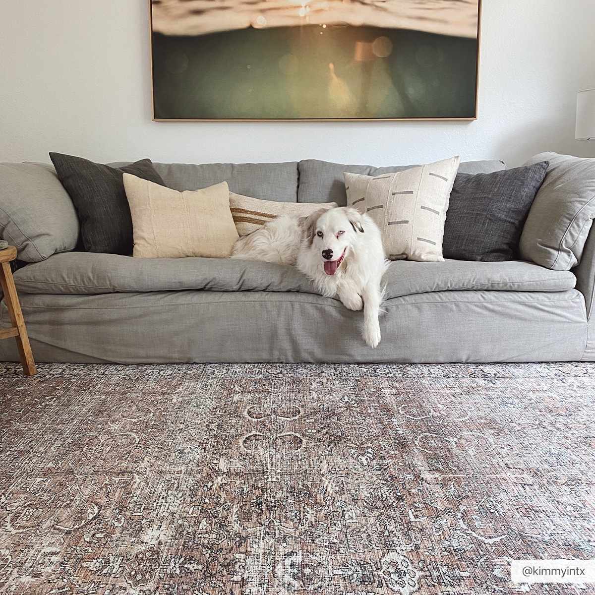 Jill Washable Area Rug - Clearance - Image 3