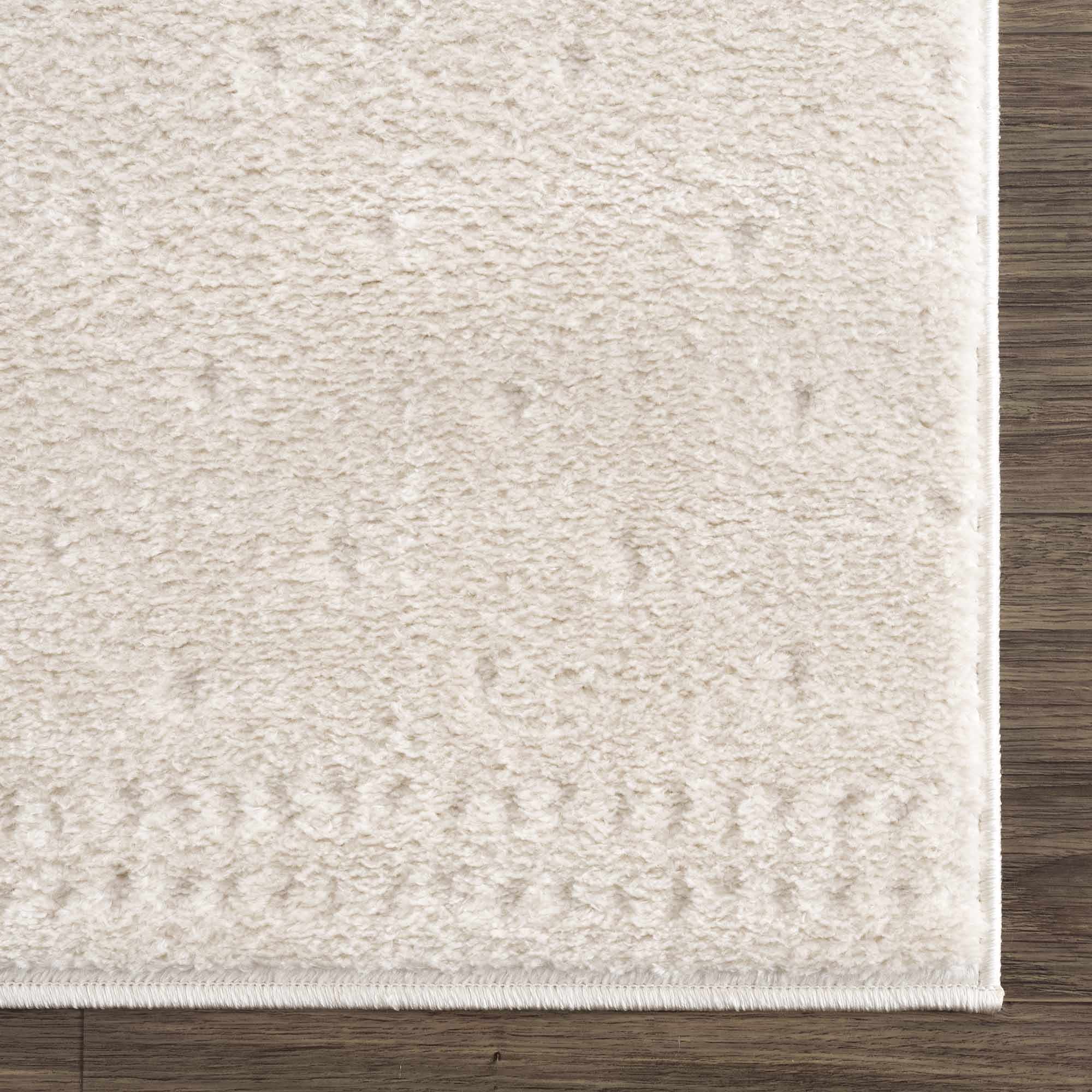 Julie Ivory Area Rug - Image 8