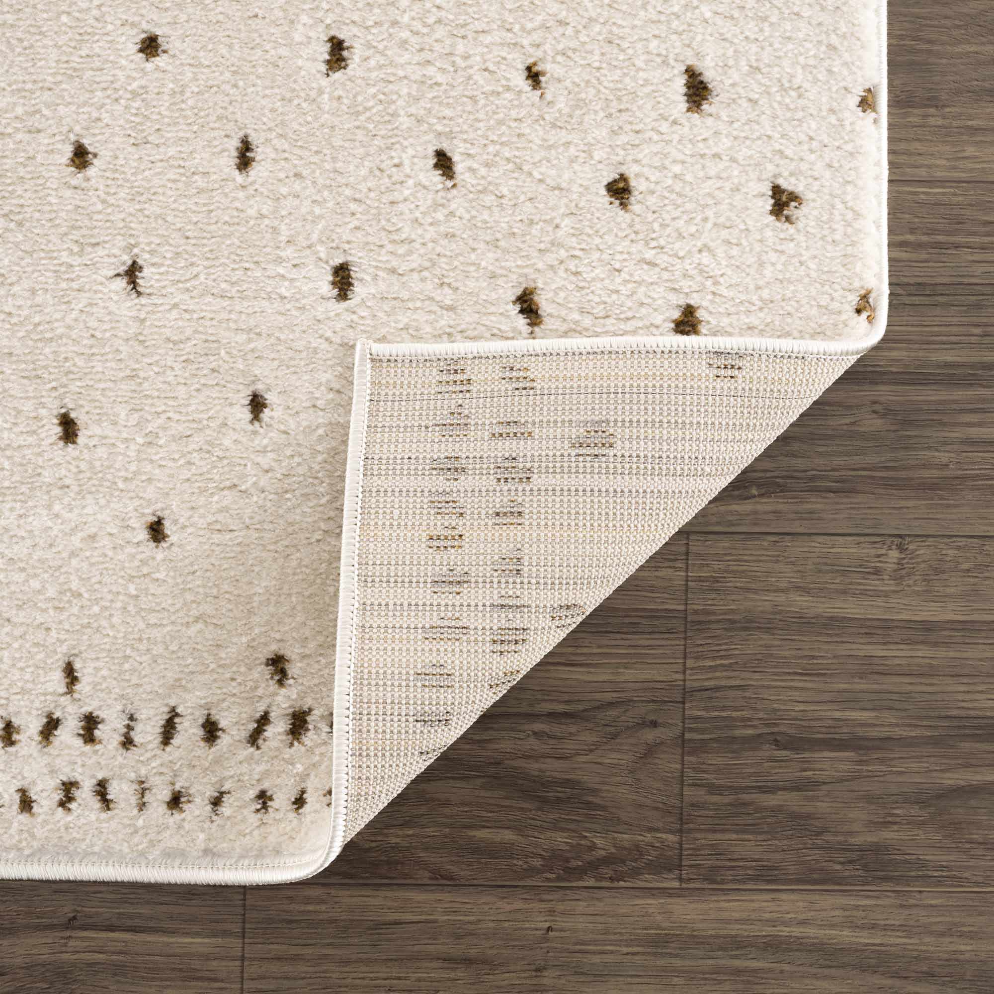 Julie Ivory & Brown Area Rug - Image 5
