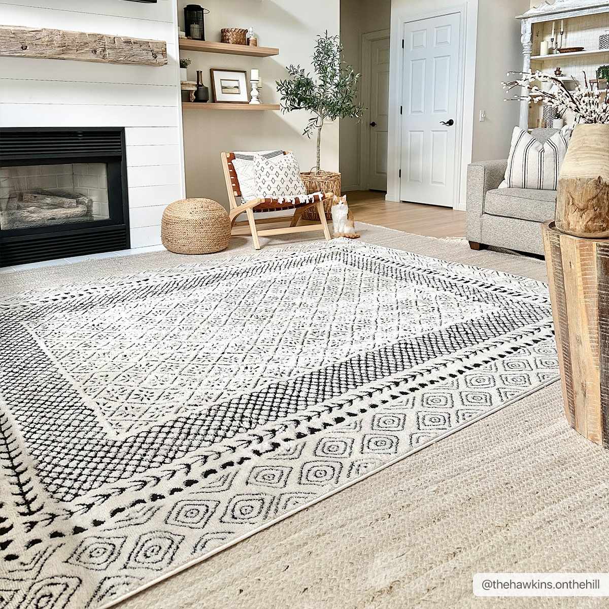 Julio  Area Rug - Clearance - Image 2