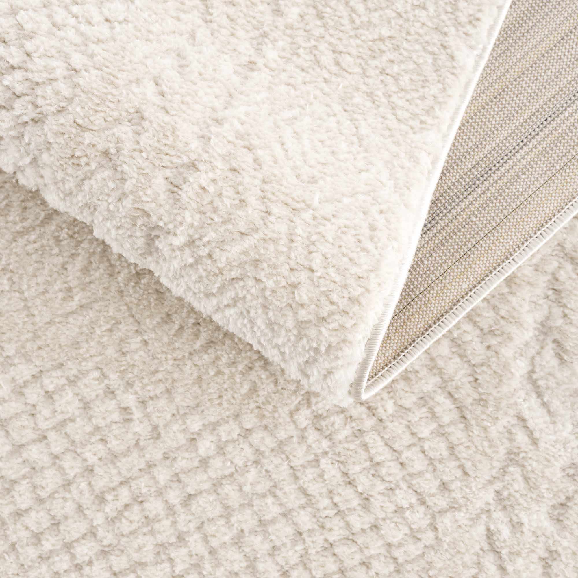 Julio Ivory Area Rug - Image 19