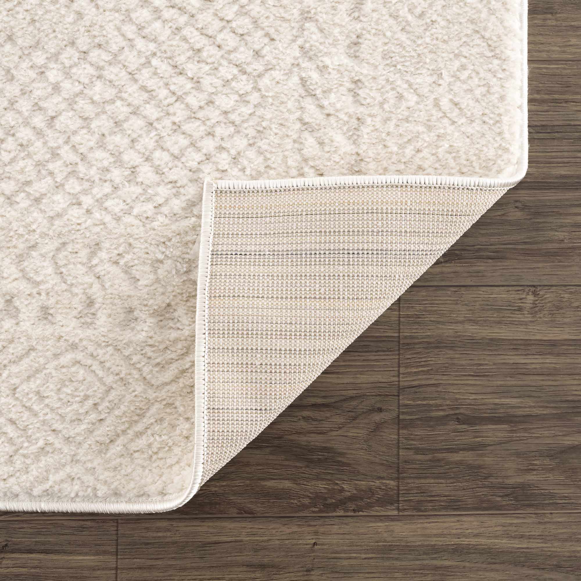 Julio Ivory Area Rug - Image 6