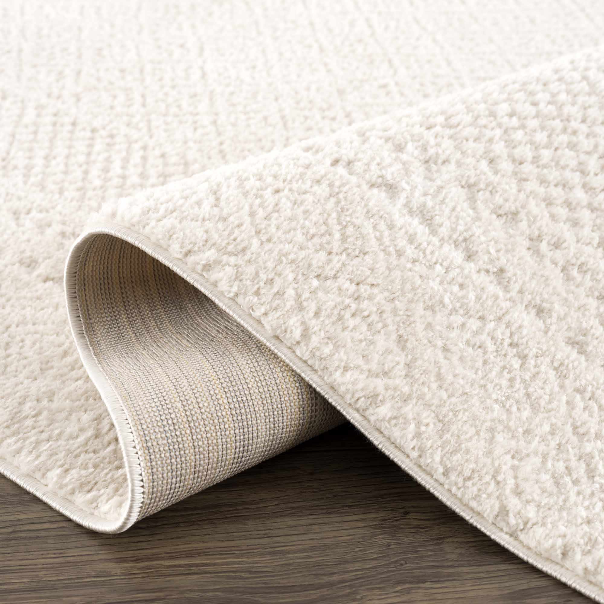 Julio Ivory Area Rug - Image 7