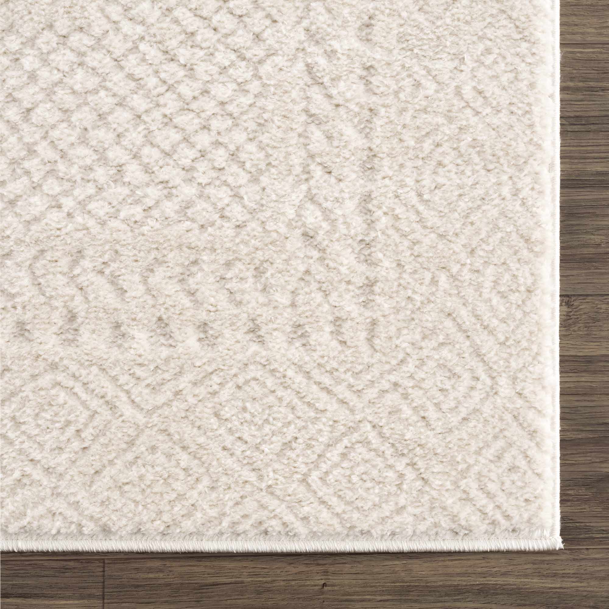 Julio Ivory Area Rug - Image 8