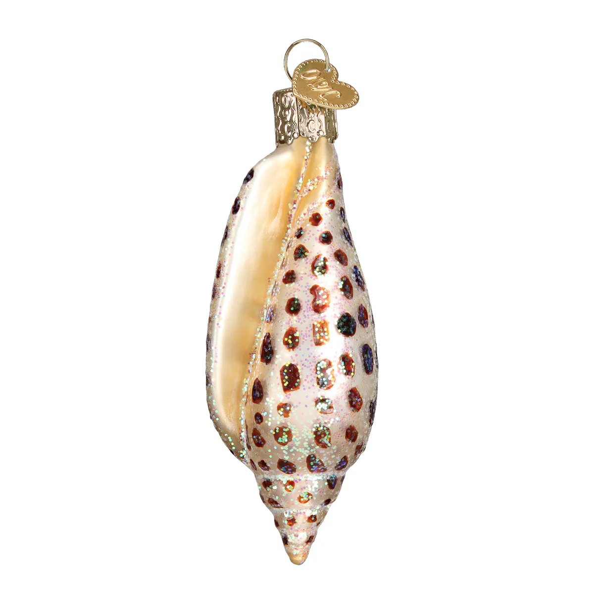 Junonia Shell Ornament - Image 3