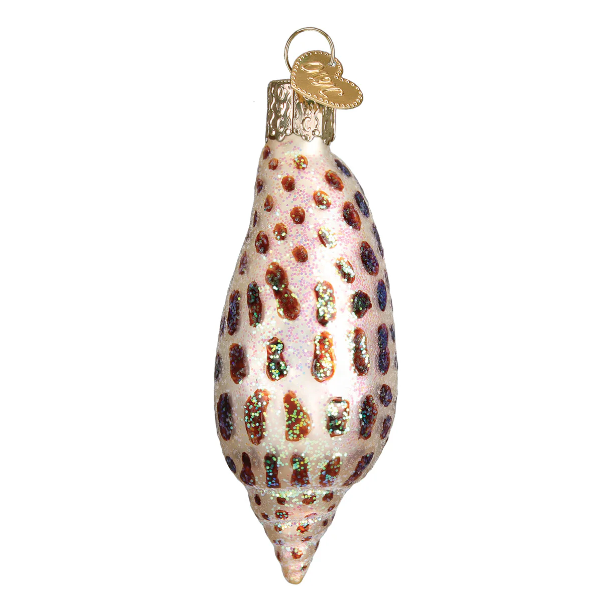 Junonia Shell Ornament - Image 4