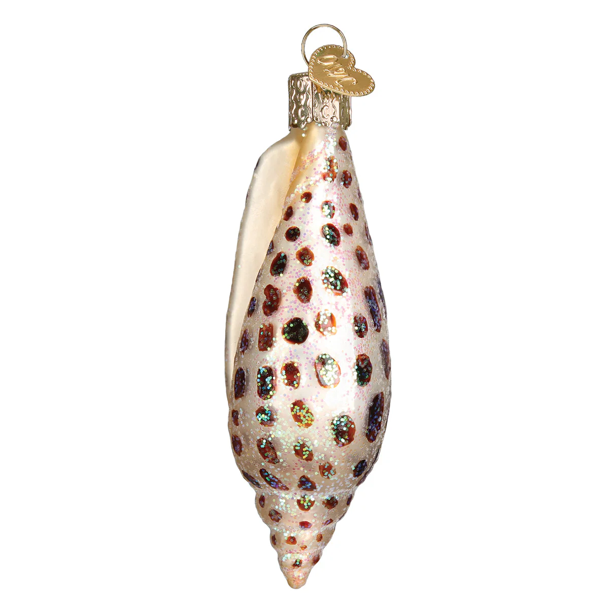 Junonia Shell Ornament - Image 5