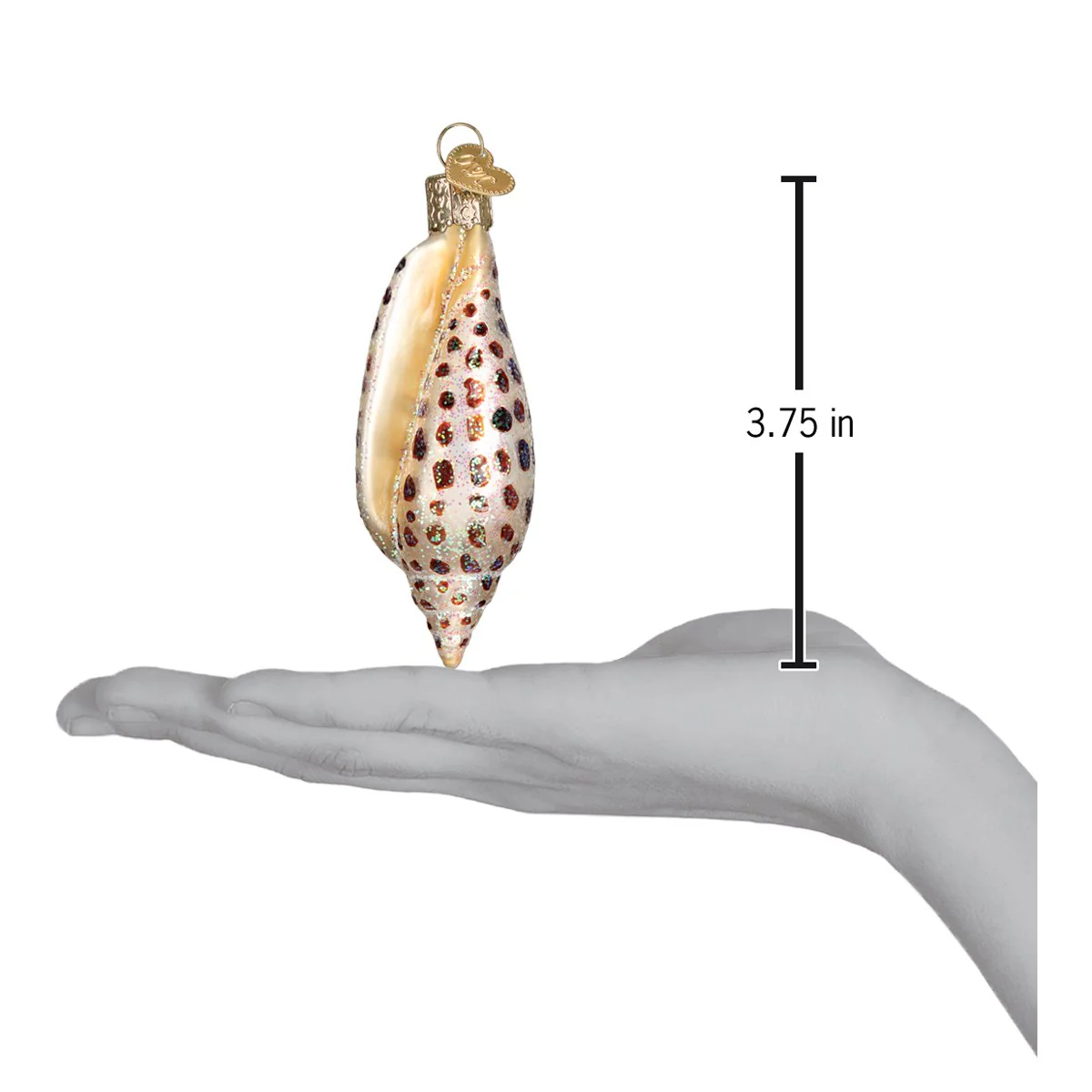 Junonia Shell Ornament - Image 6