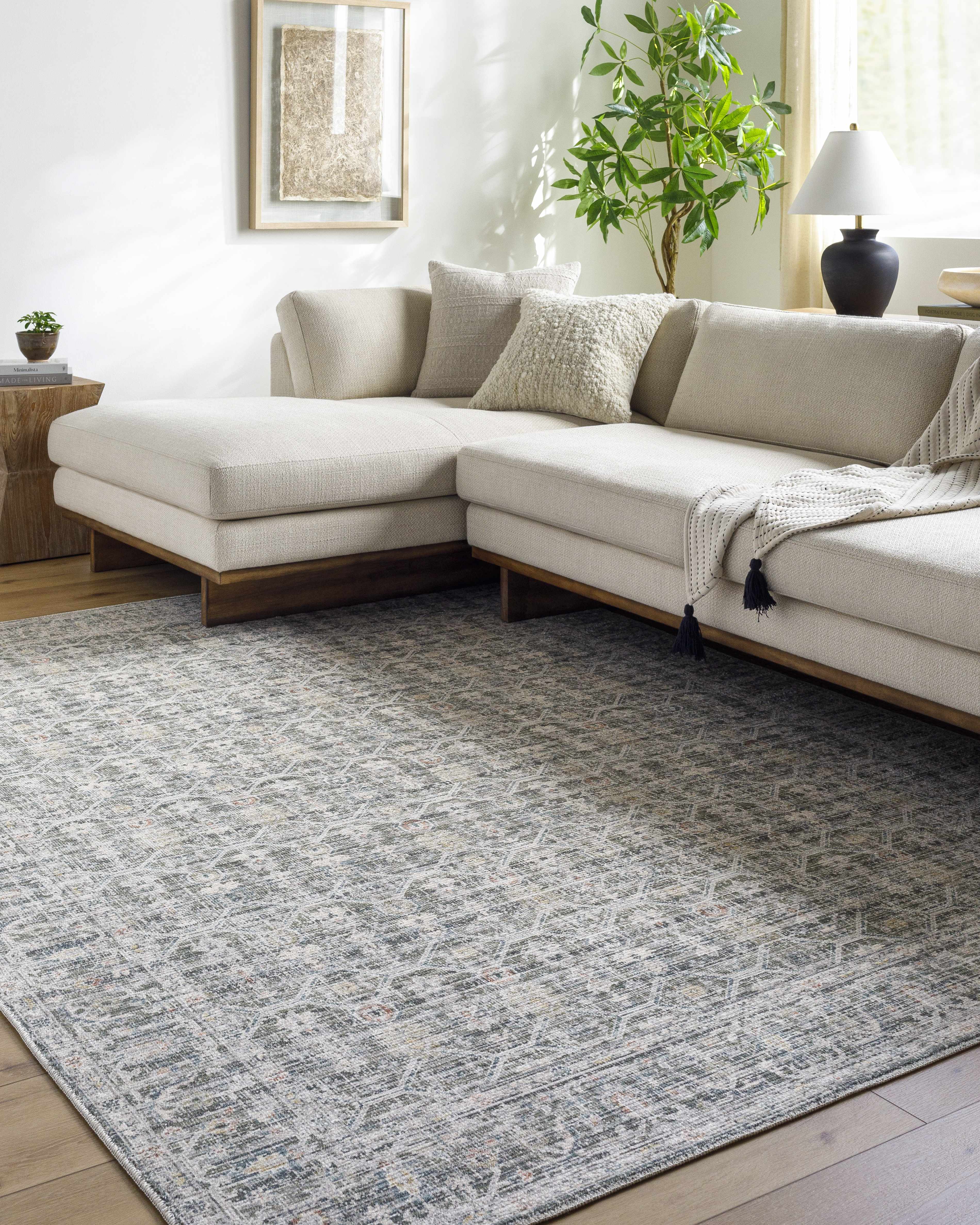 Kaili Area Rug - Image 2
