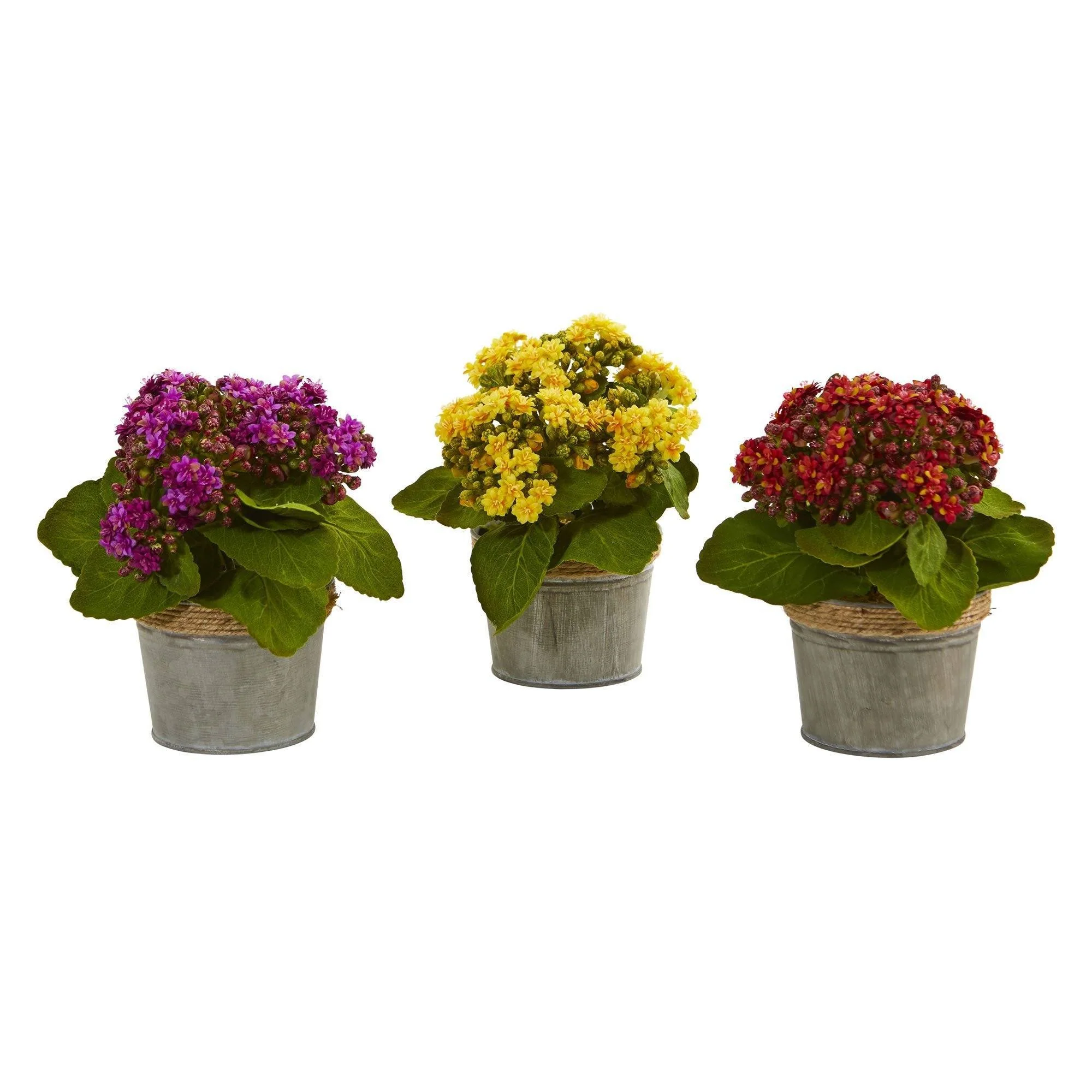 Kalanchoe Artificial Arrangements (Set of 3) - Image 5