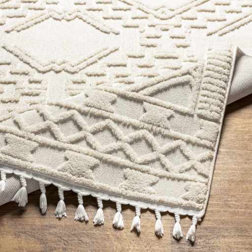 Kalkan High/Low Pile Rug with Tassels - Clearance - Image 11
