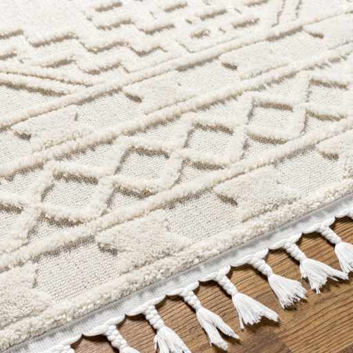 Kalkan High/Low Pile Rug with Tassels - Clearance - Image 12