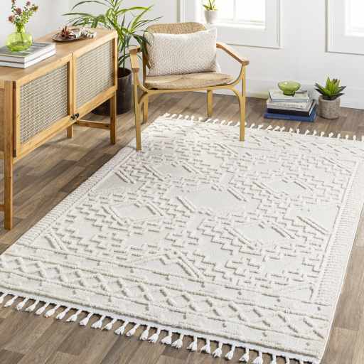 Kalkan High/Low Pile Rug with Tassels - Clearance - Image 8