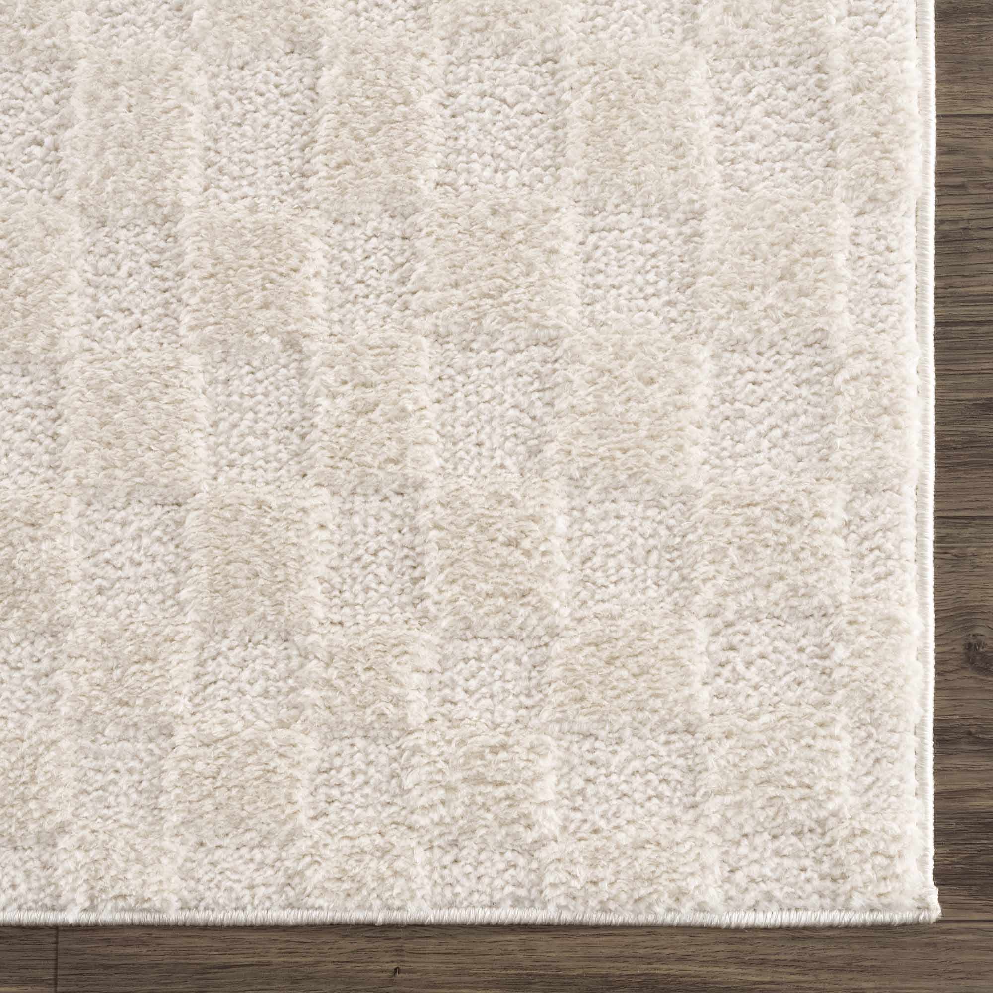 Keesa Checkered Area Rug - Image 9
