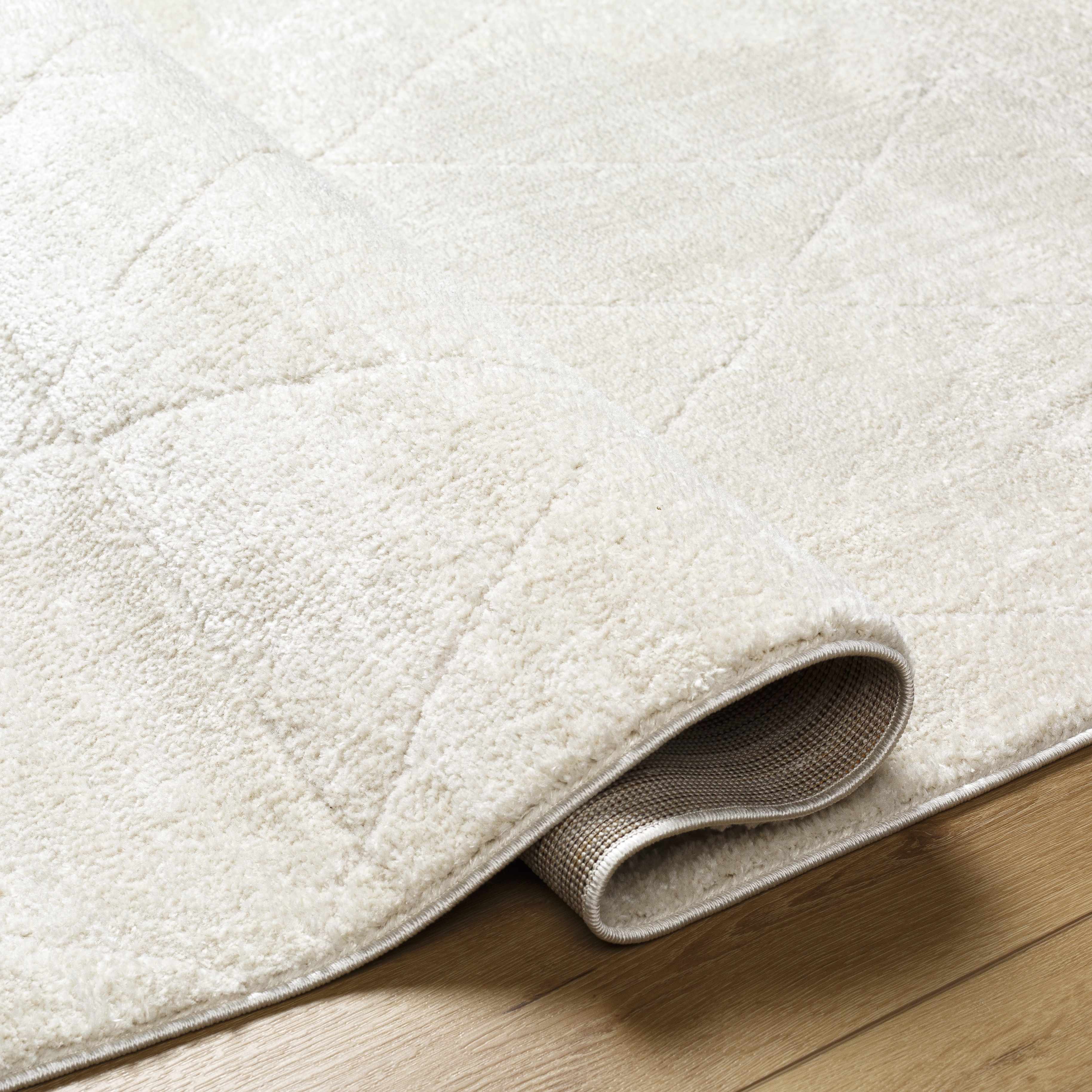 Keone Ivory Area Rug - Image 21