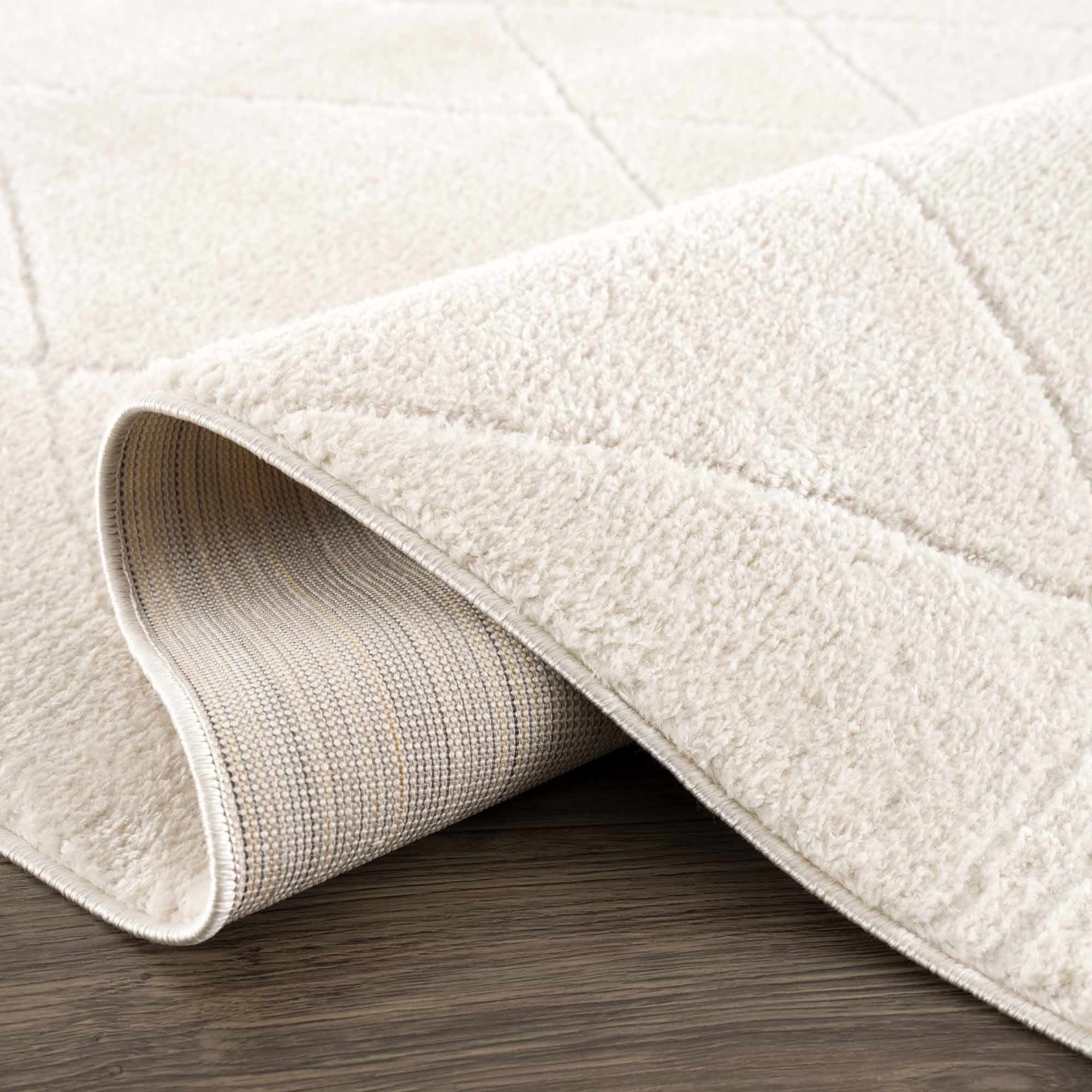 Keone Ivory Area Rug - Image 8