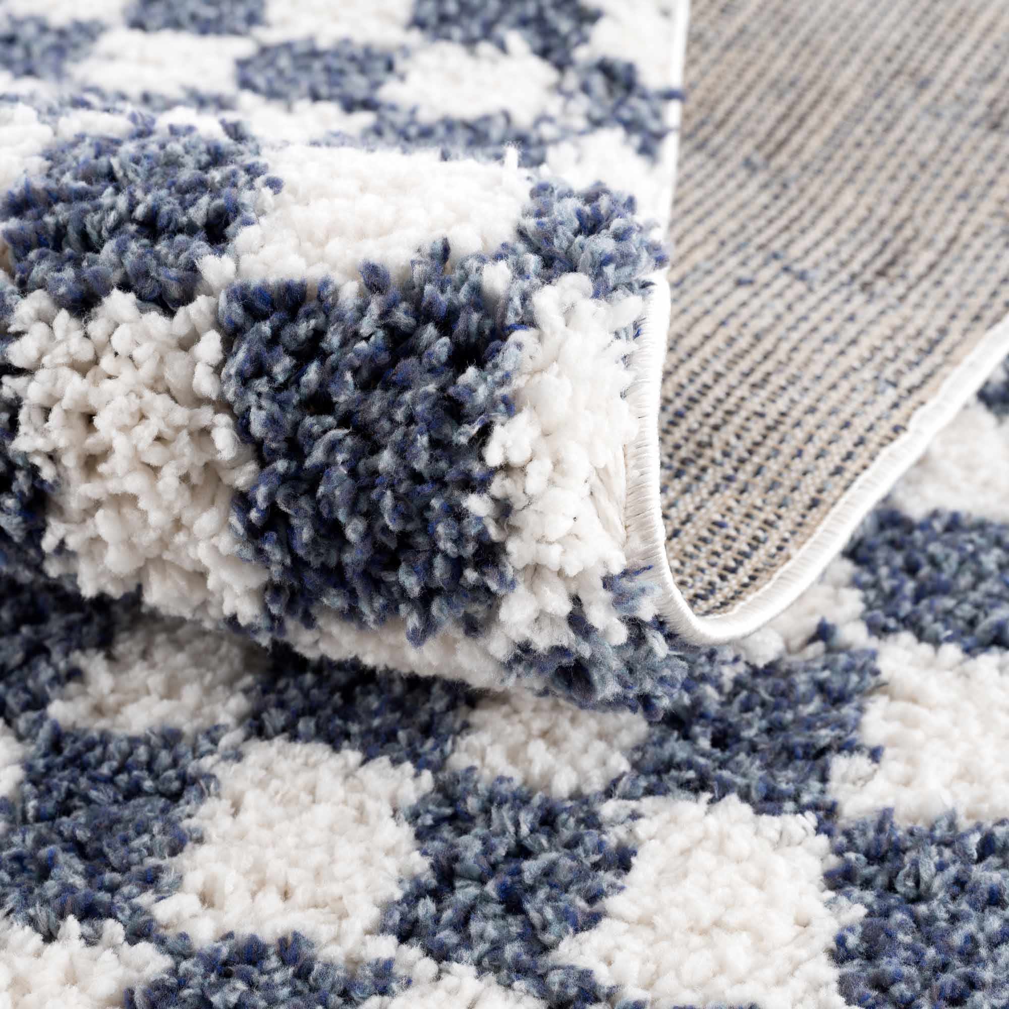 Kieu Blue & White Checkered Area Rug - Image 12